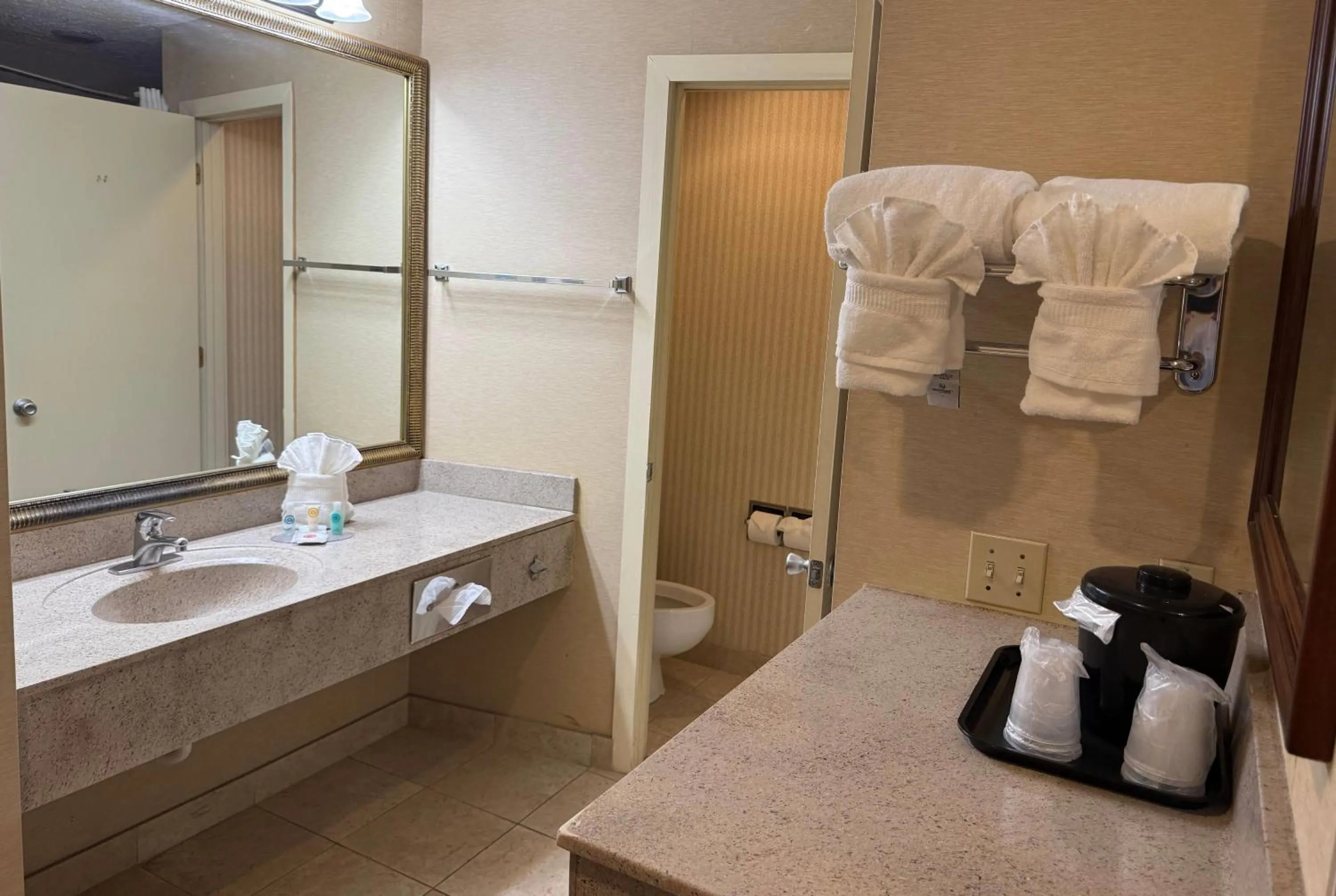 Bathroom in Wingate by Wyndham Livonia