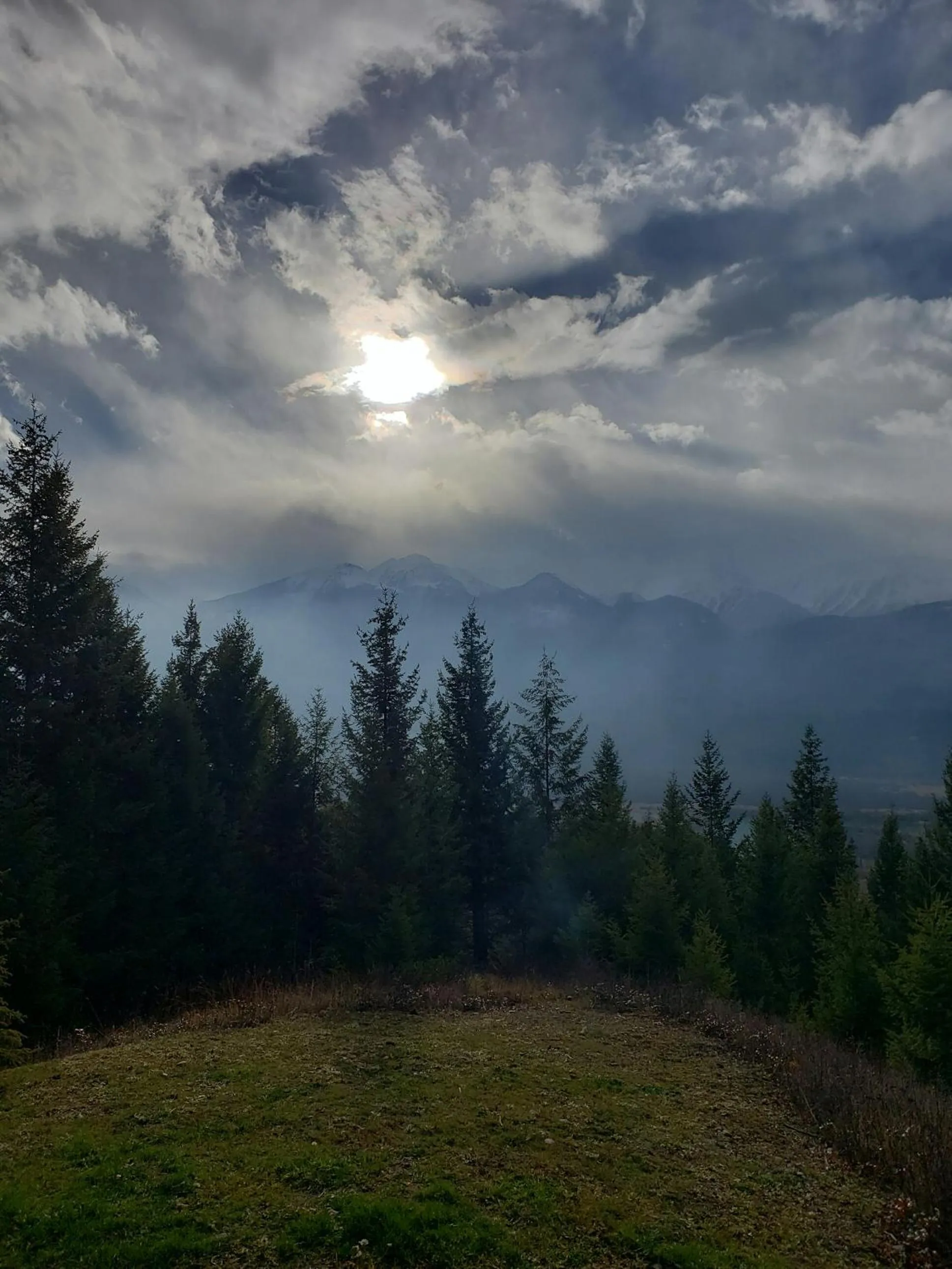 Natural landscape in Cedar House Restaurant & Chalets