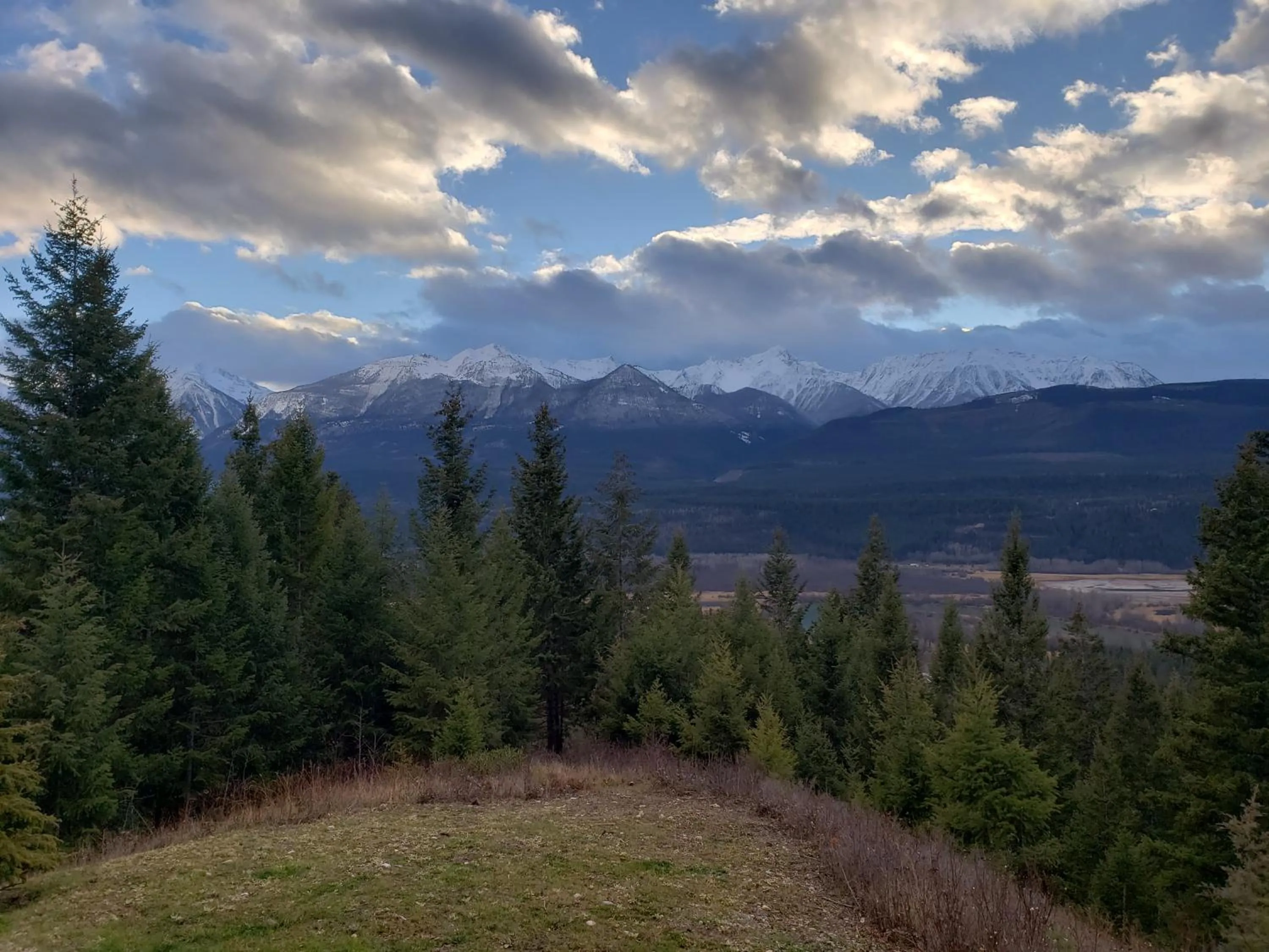 Natural landscape in Cedar House Restaurant & Chalets