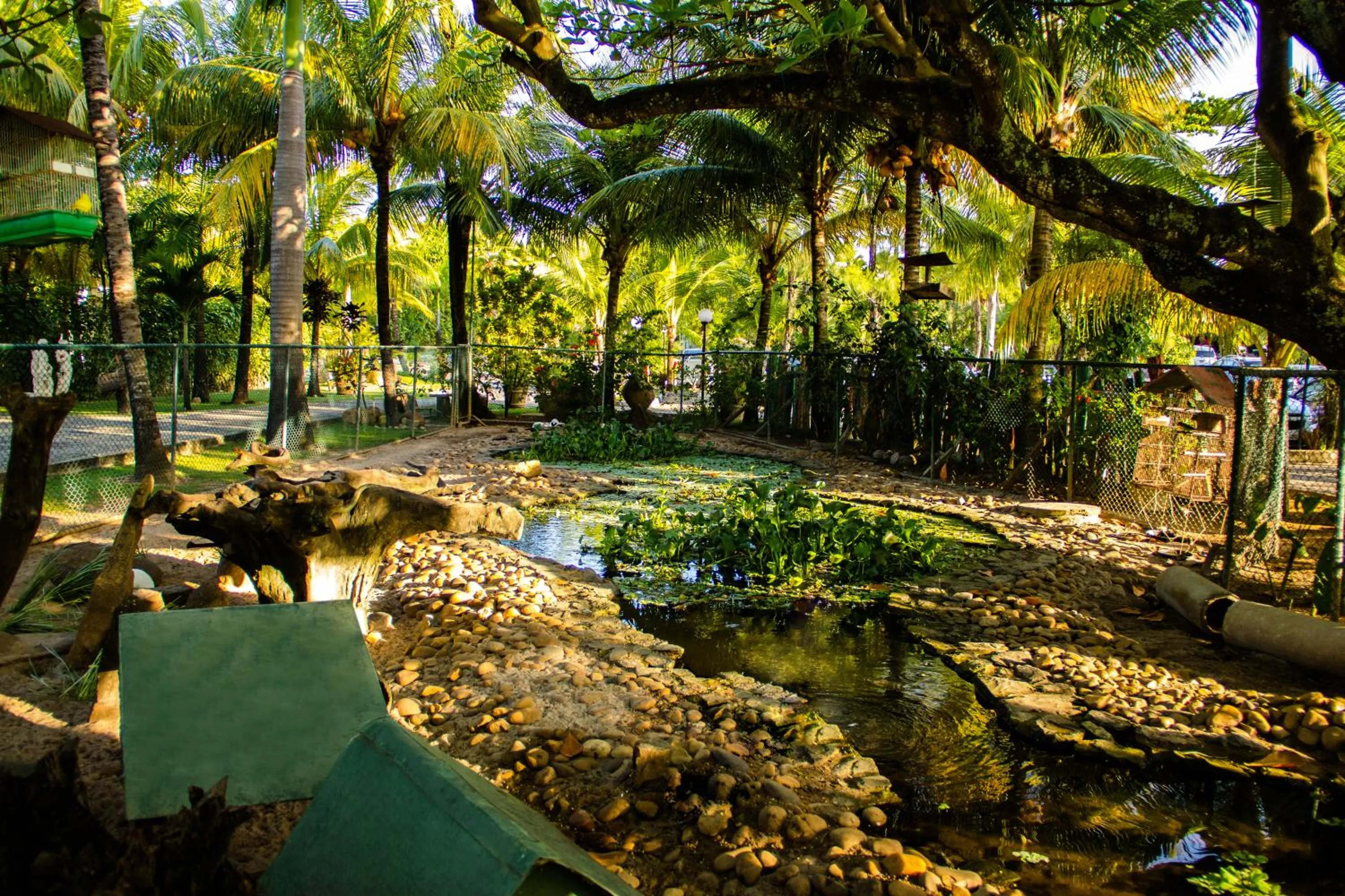 Natural landscape in Catussaba Resort Hotel