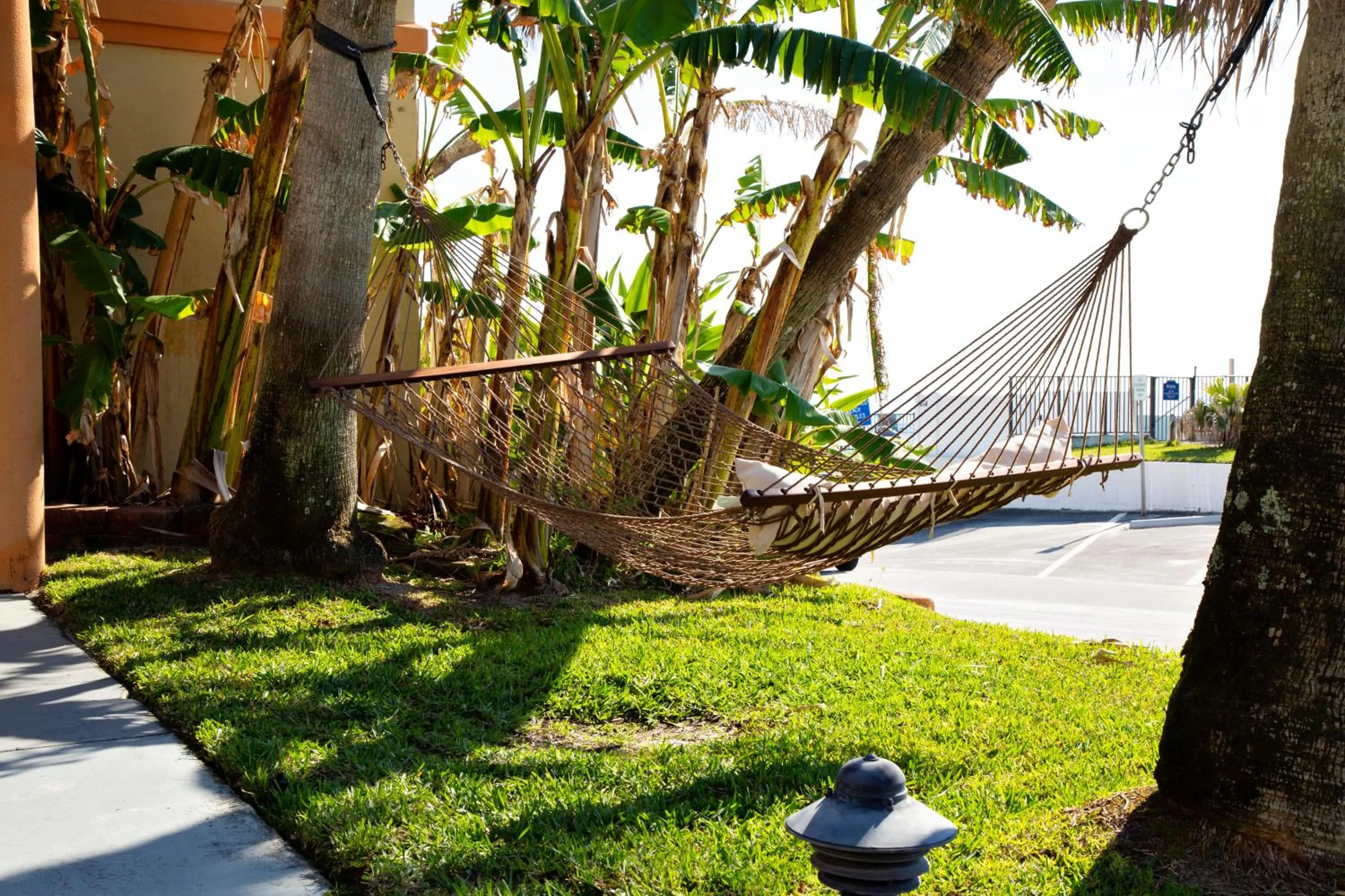 Garden in Daytona Dream Inn By AmeriVu