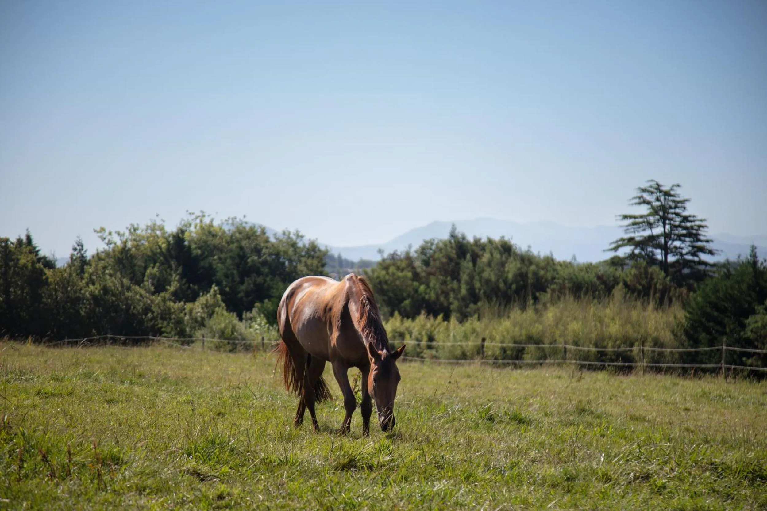 Garden in Château du Clair de Lune - Boutique Luxury Hotel