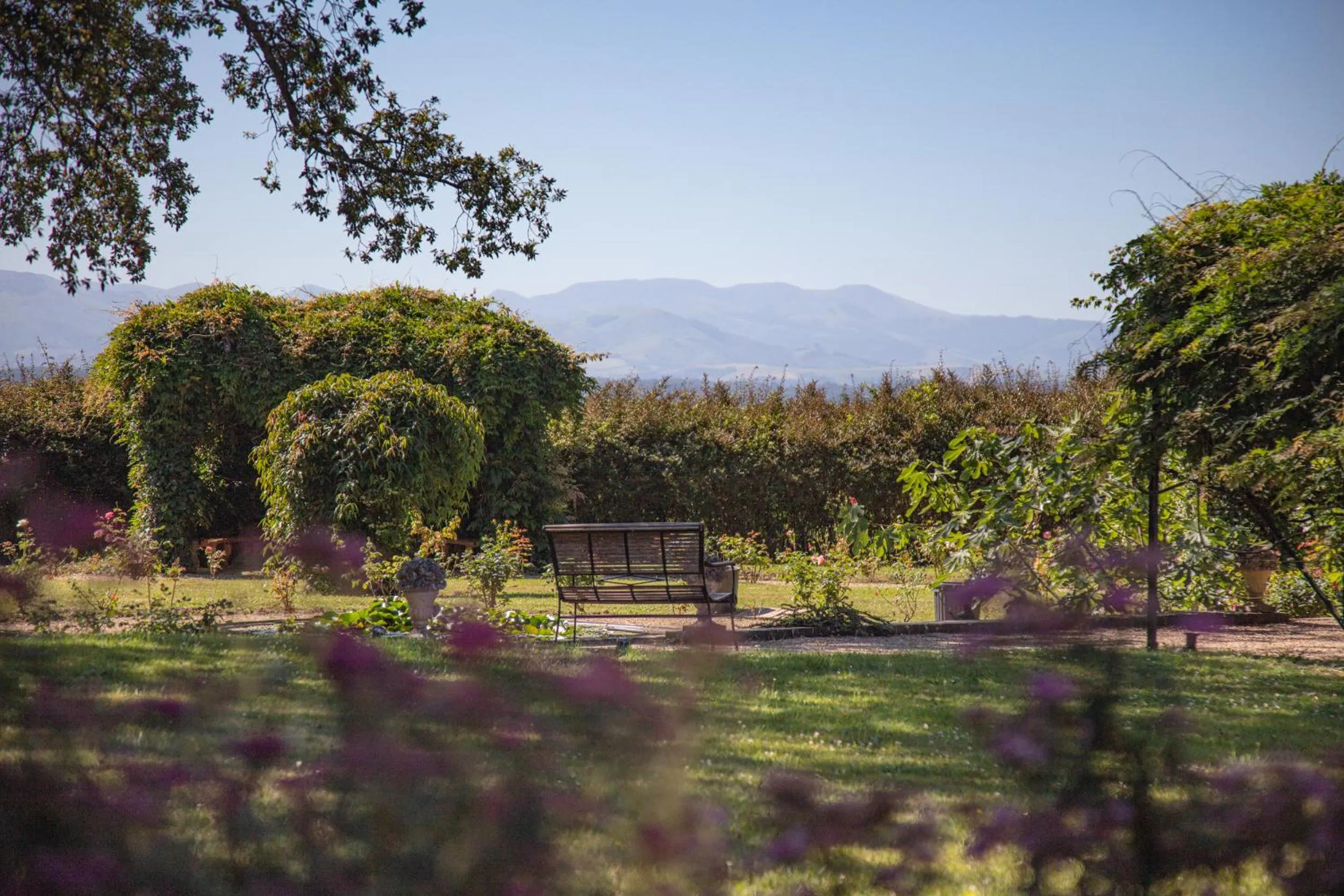 View (from property/room) in Château du Clair de Lune - Boutique Luxury Hotel