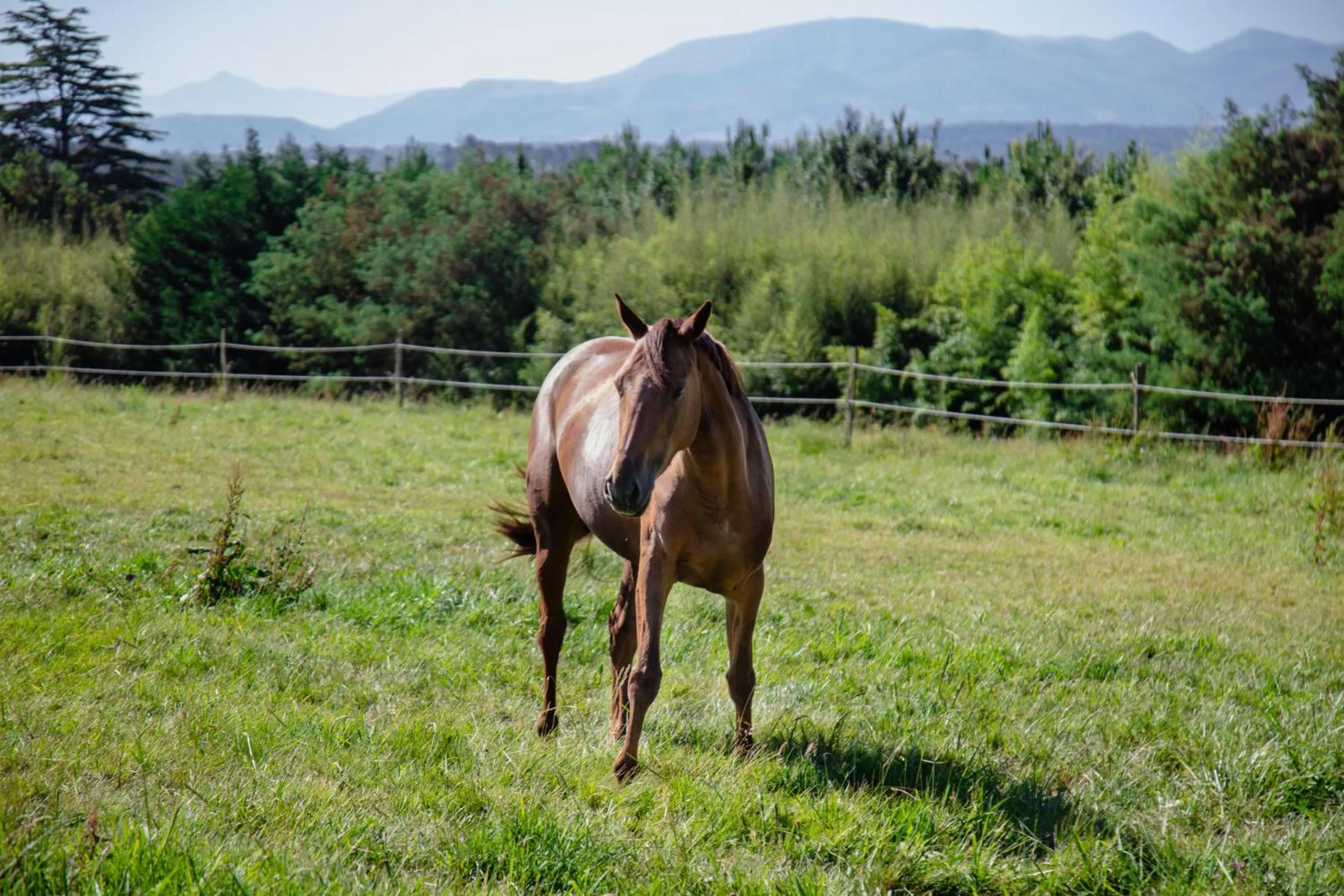 Garden in Château du Clair de Lune - Boutique Luxury Hotel