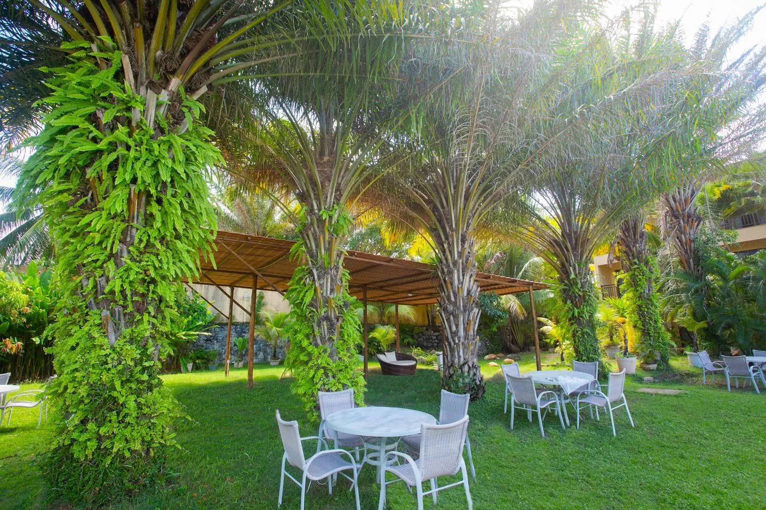 Garden in Catussaba Business Hotel