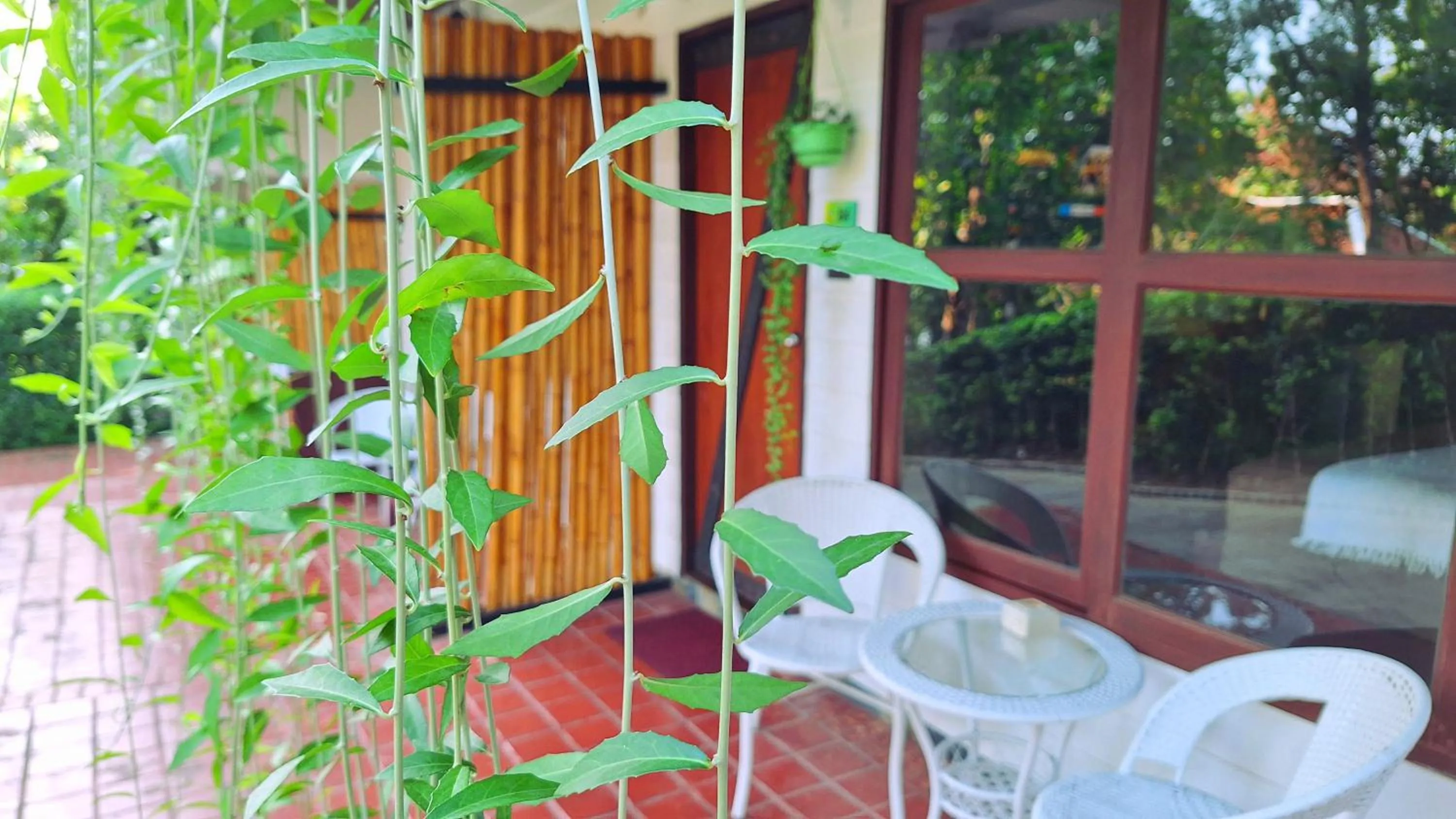 Balcony/Terrace in Alpha Gay Resort & Spa - Men Only