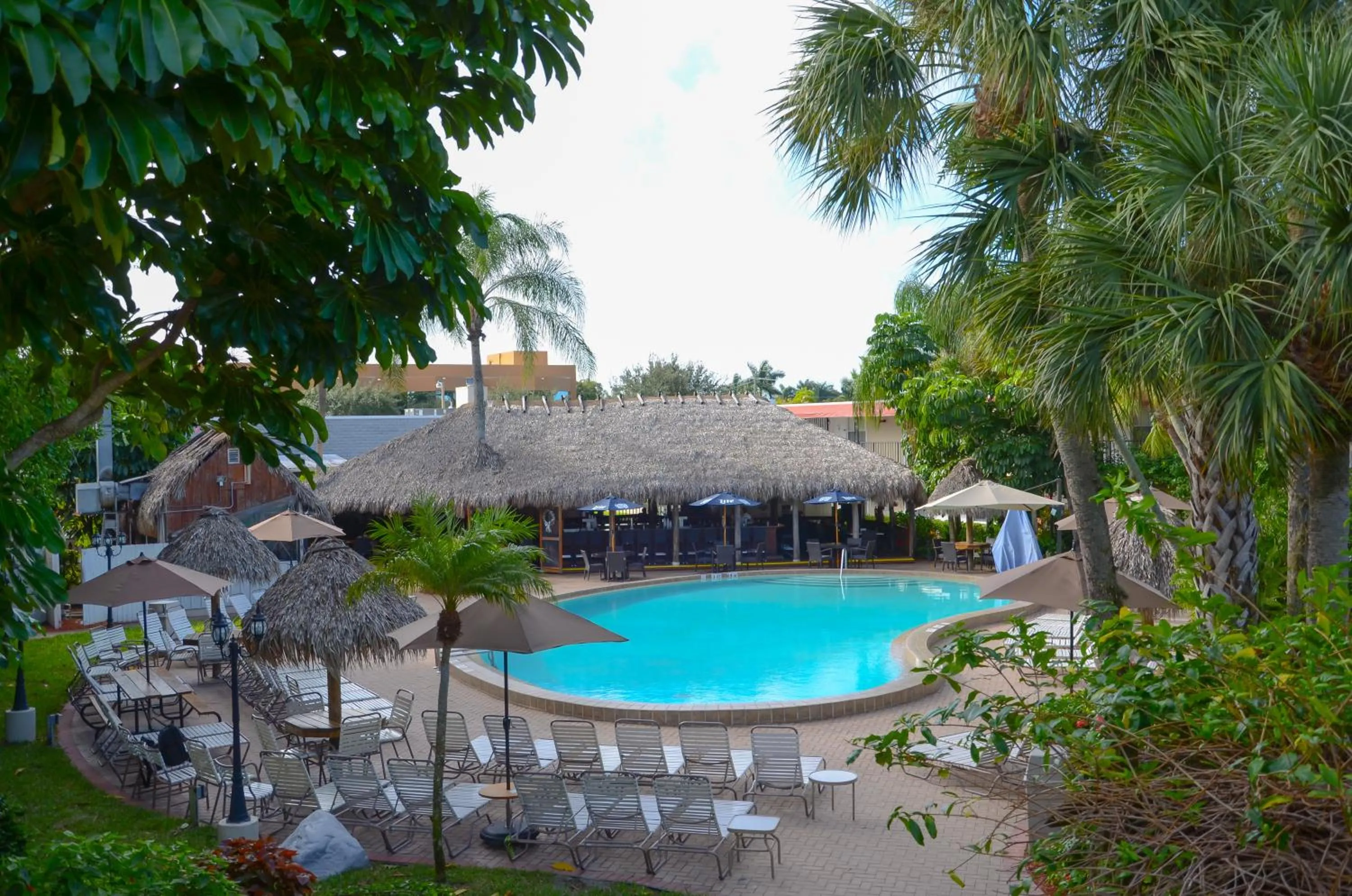 Pool view in Gulfcoast Inn Naples