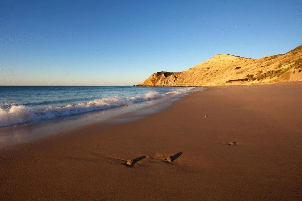 Area and facilities in Apartamentos Os Descobrimentos