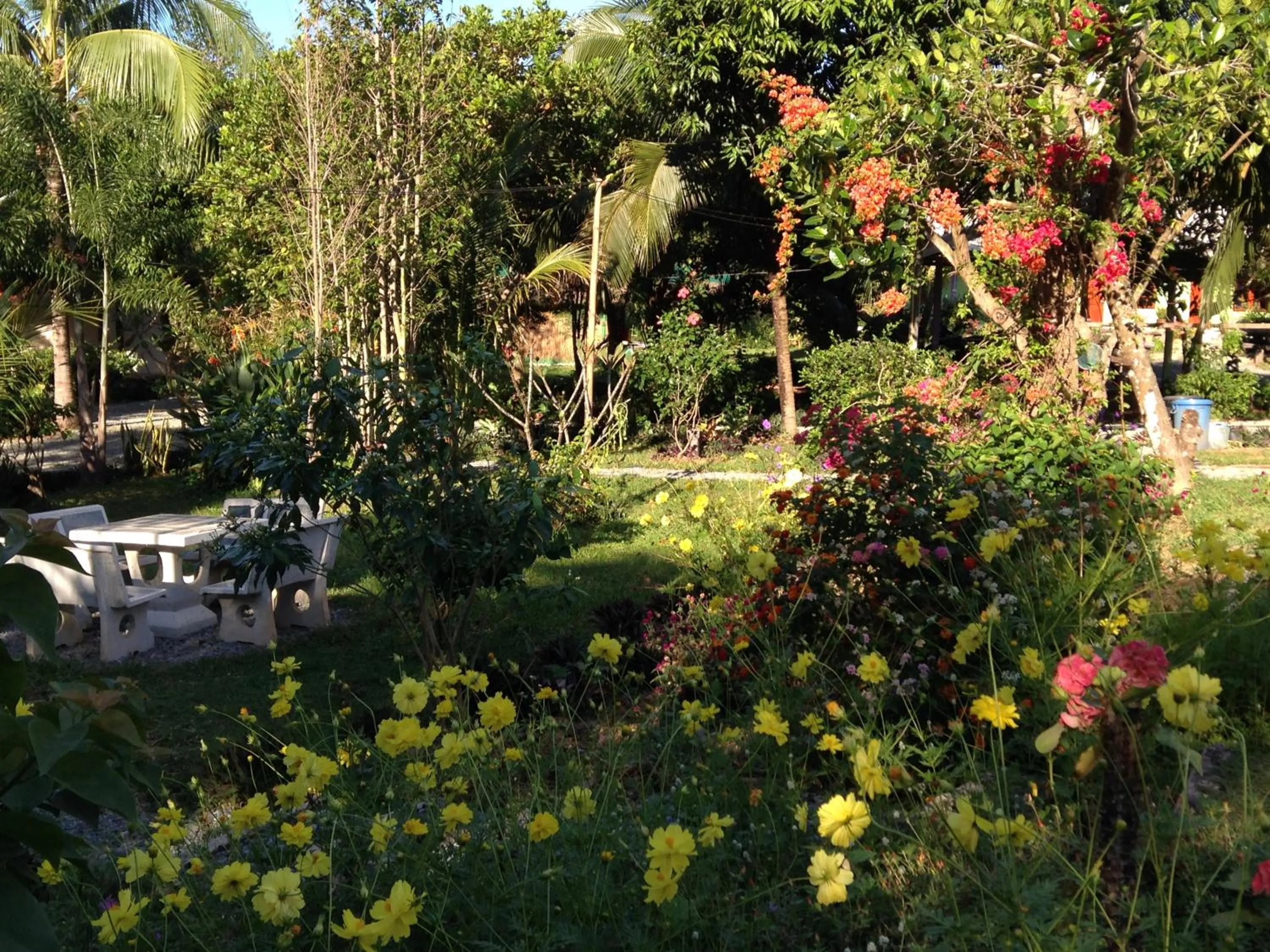 Garden in Areeya Resort