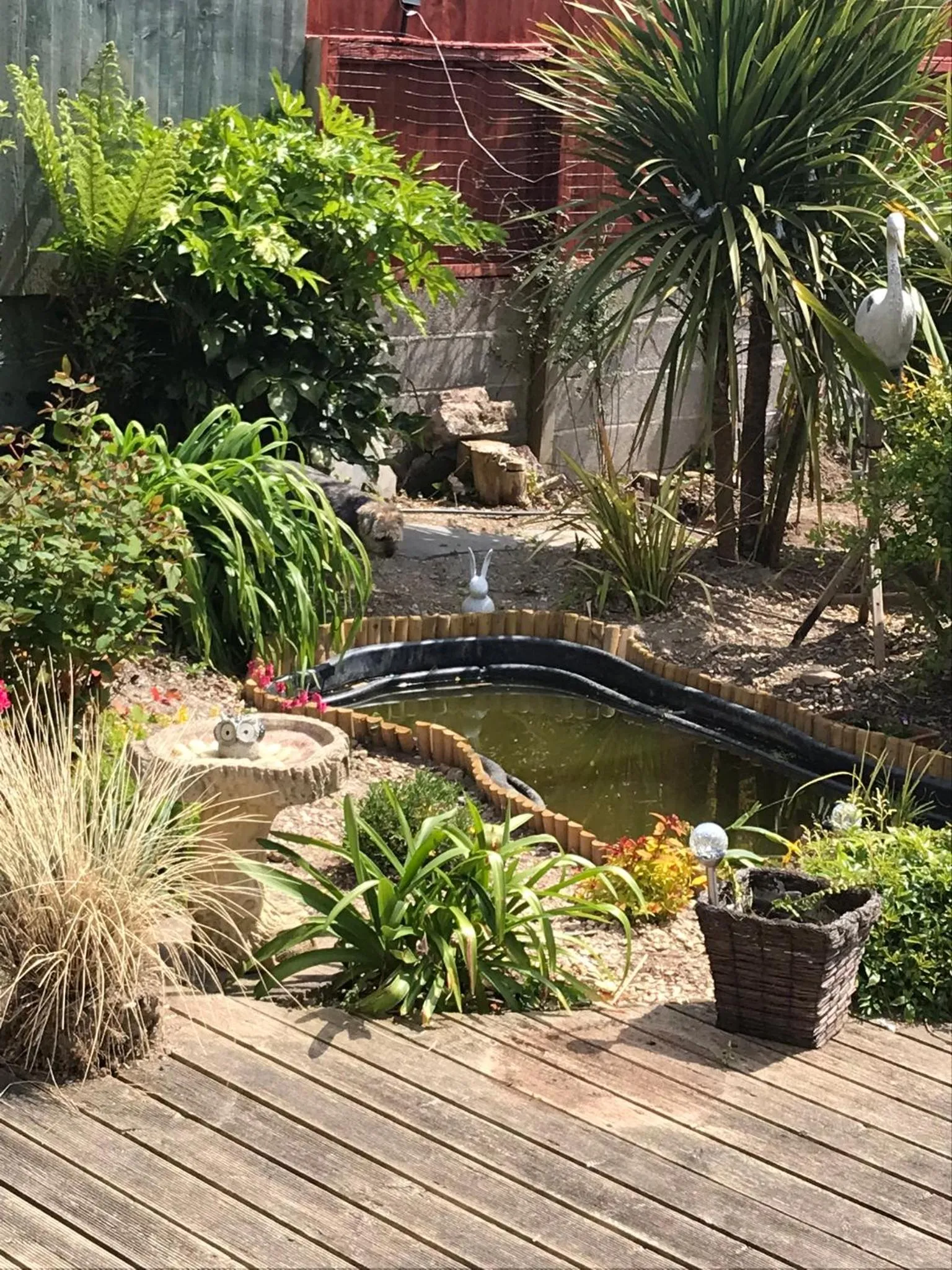 Garden in Gwynarth Guest House