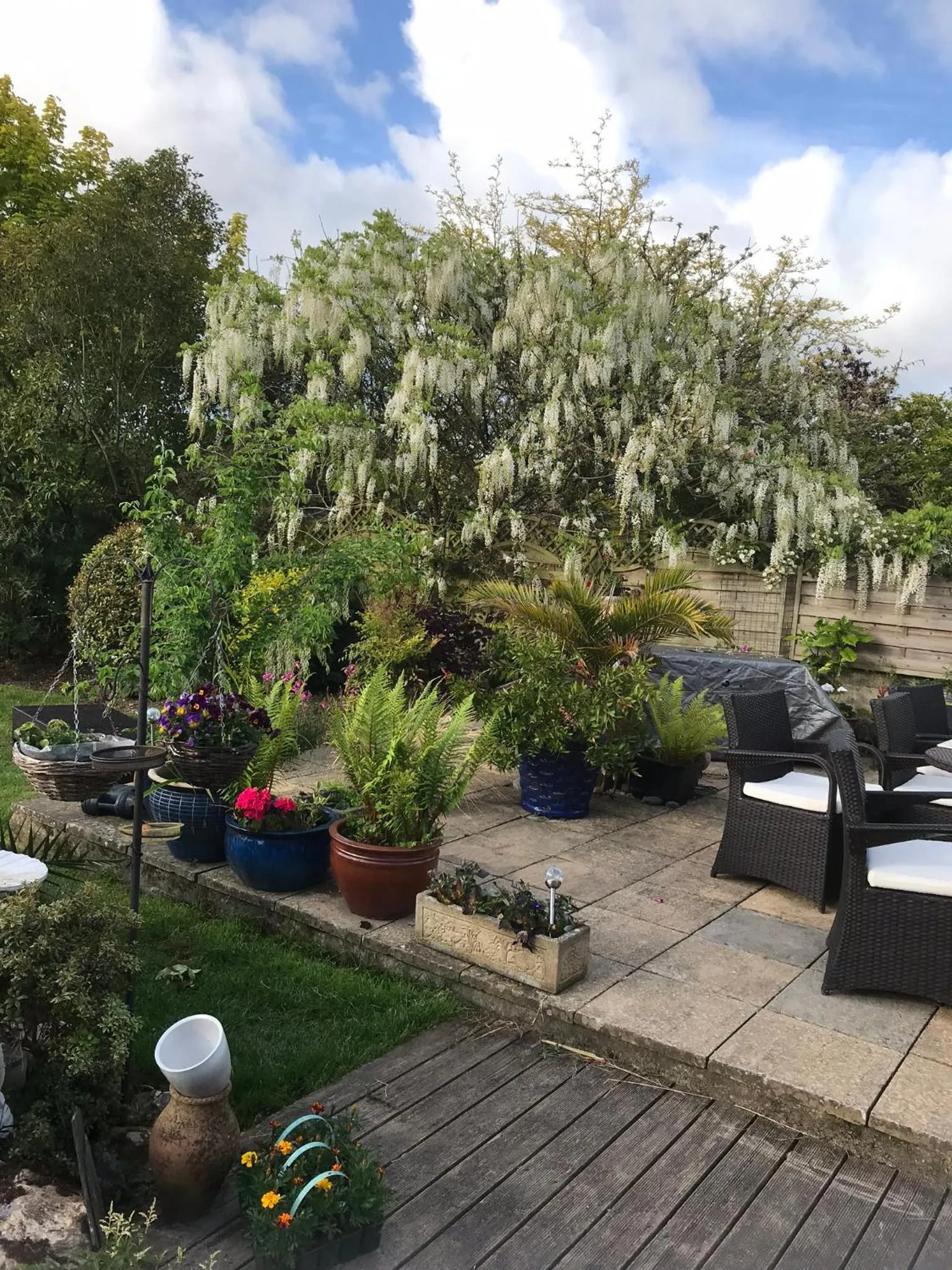 Garden in Gwynarth Guest House