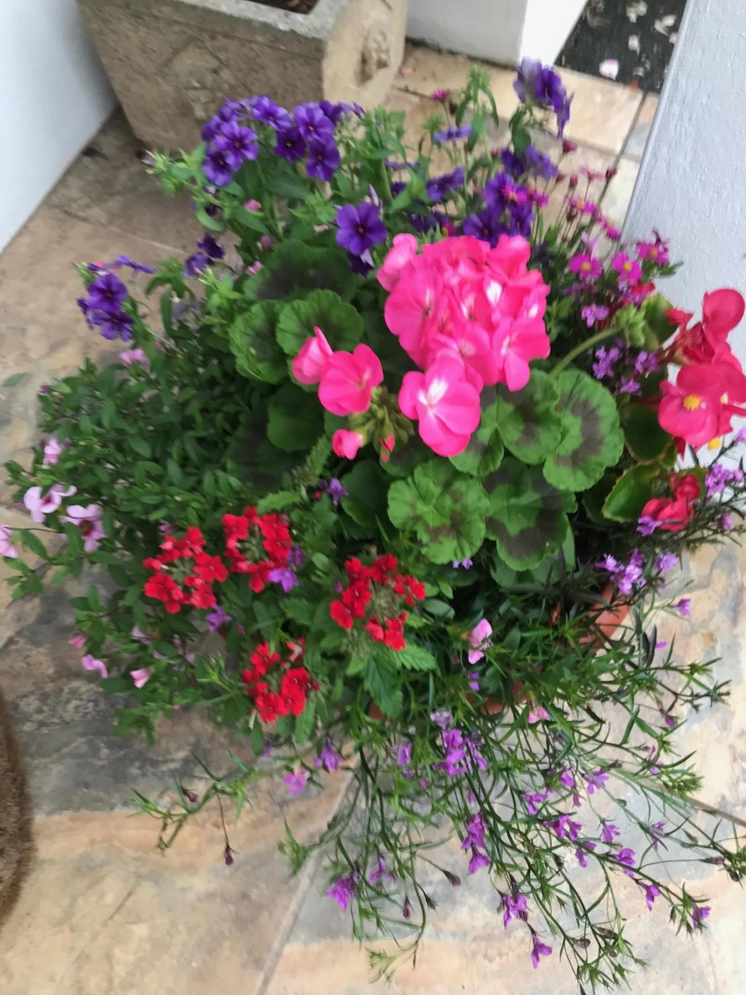 Property building in Gwynarth Guest House