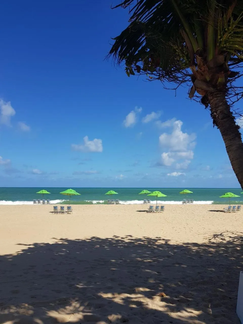 Beach in Hotel Barramares