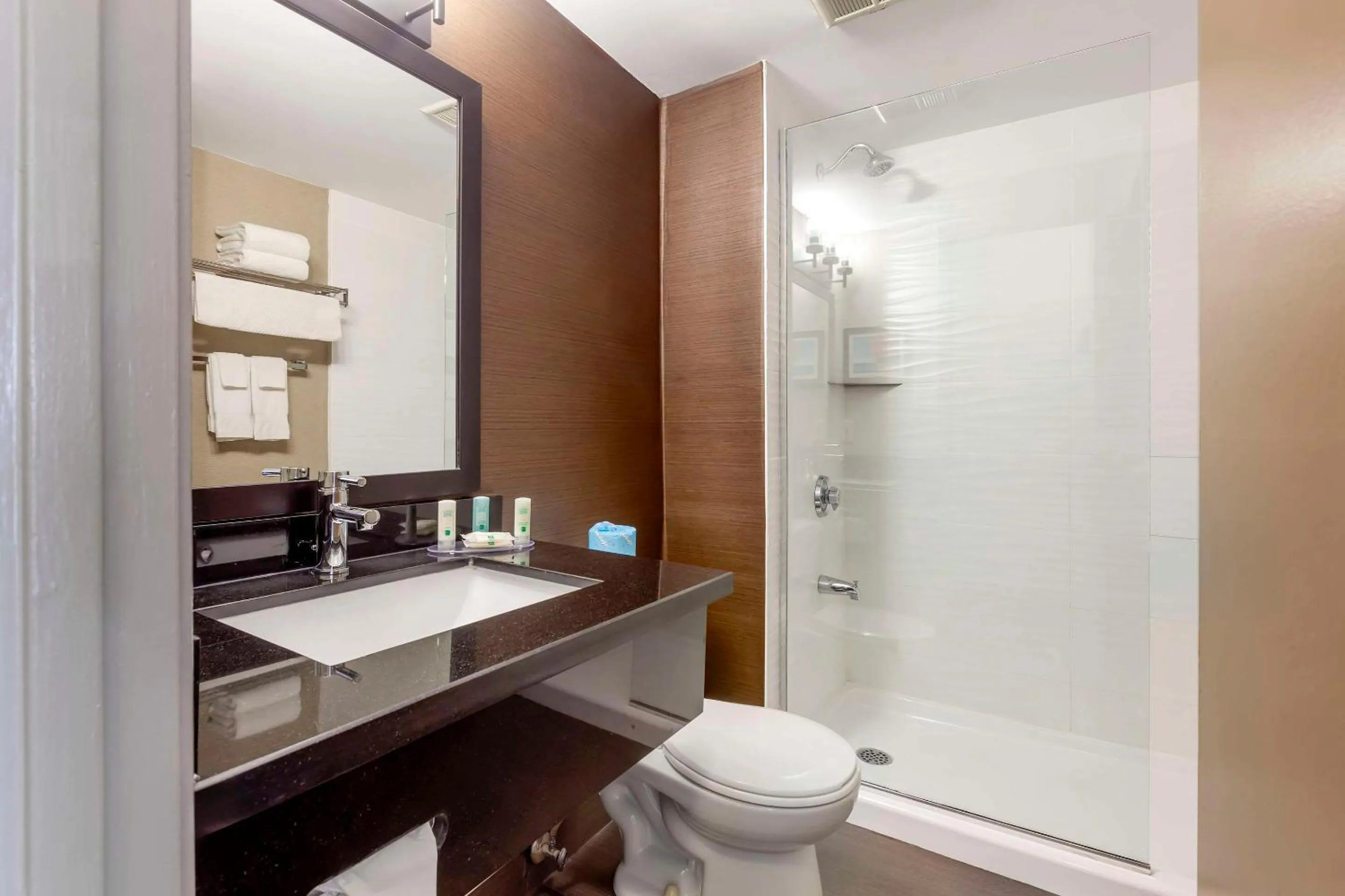 Bedroom in Quality Inn