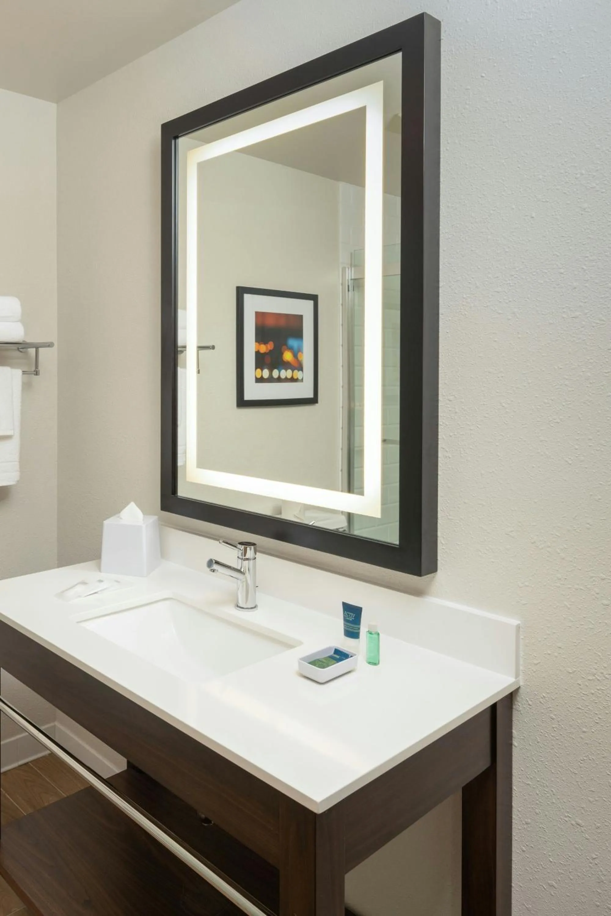 Bathroom in Four Points by Sheraton Chicago Schaumburg