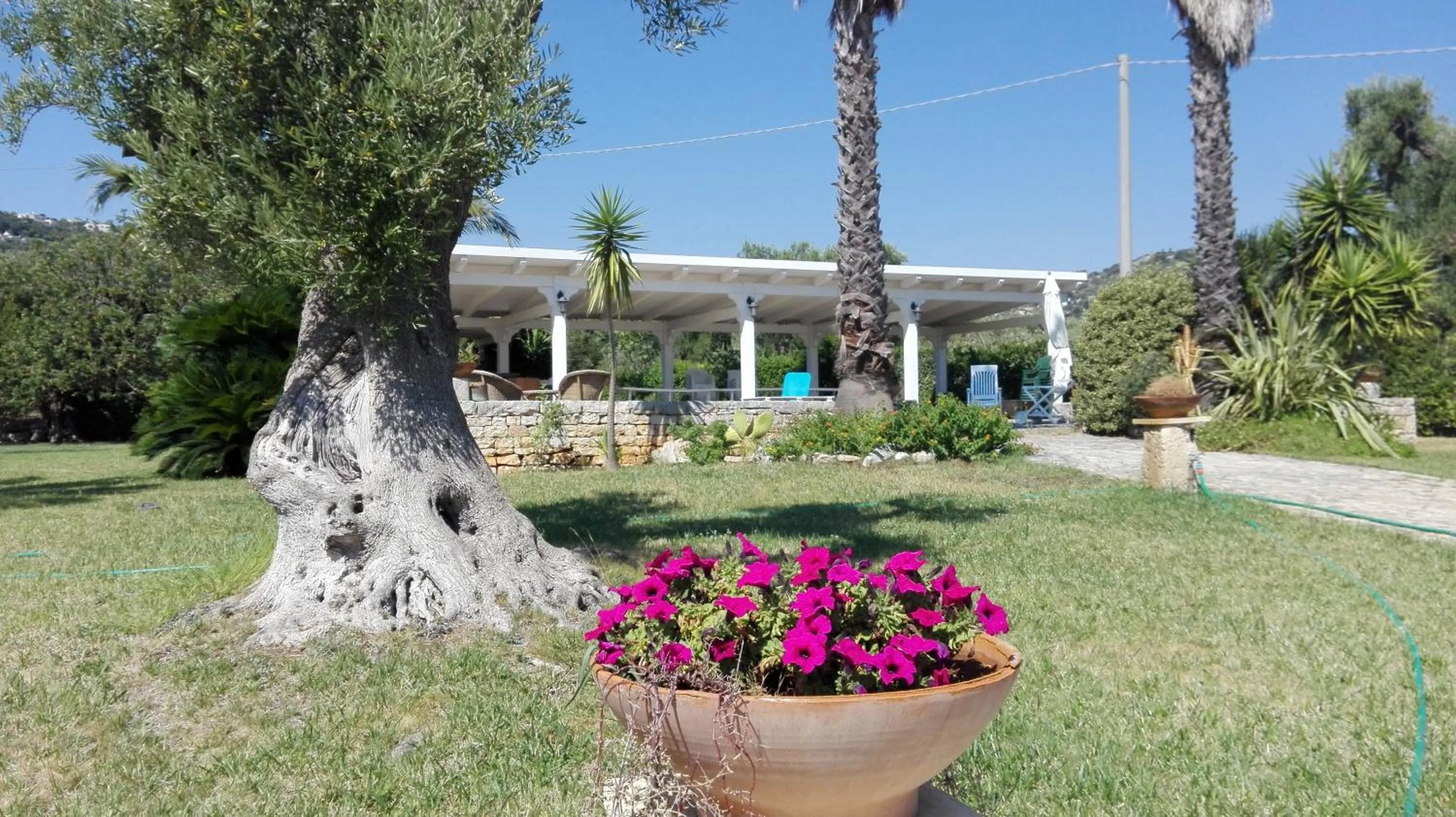 Garden in Masseria Fragnale