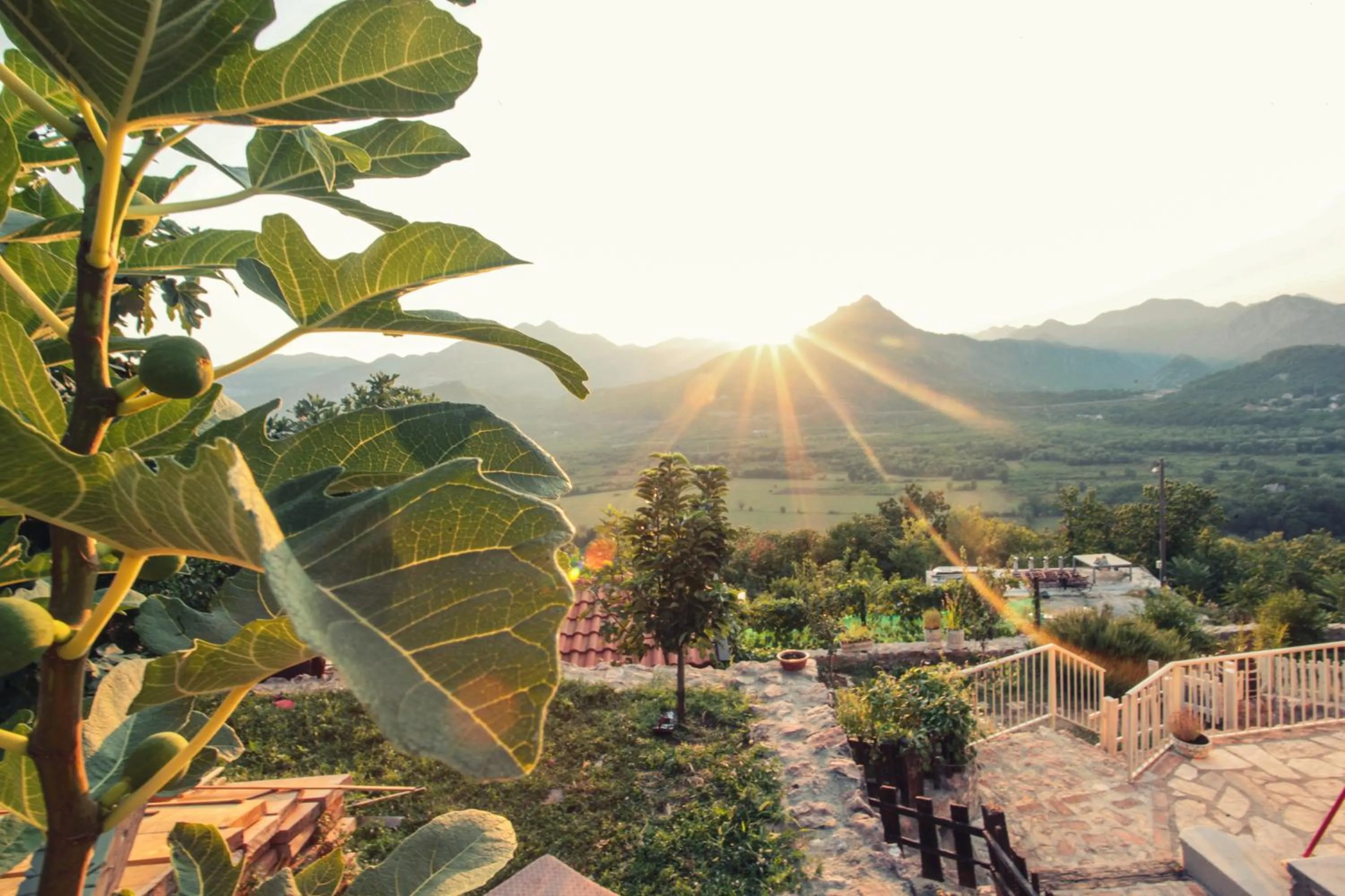 Mountain view in Dembelija Rooms