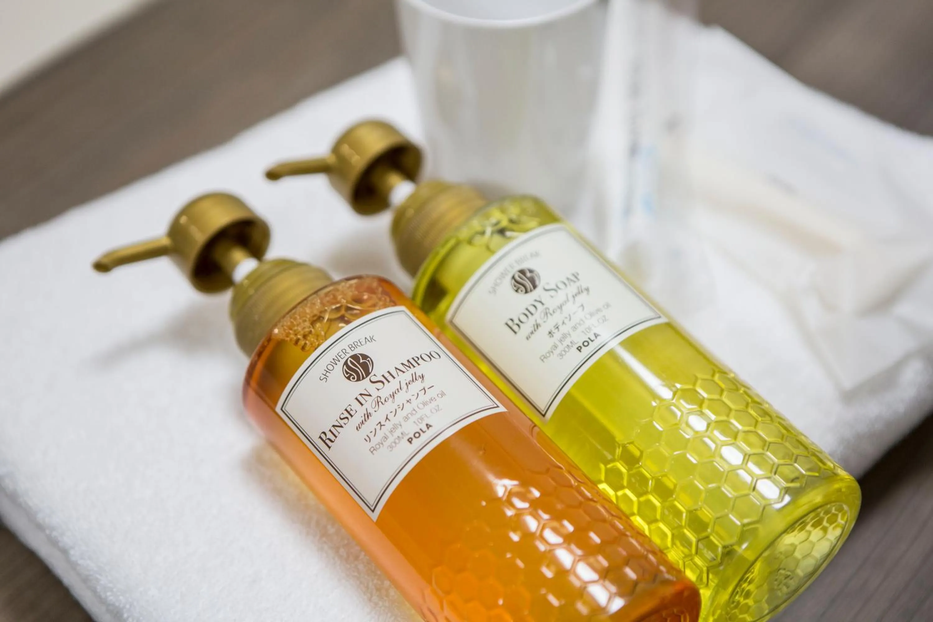 Area and facilities in HOTEL MYSTAYS Ueno Inaricho