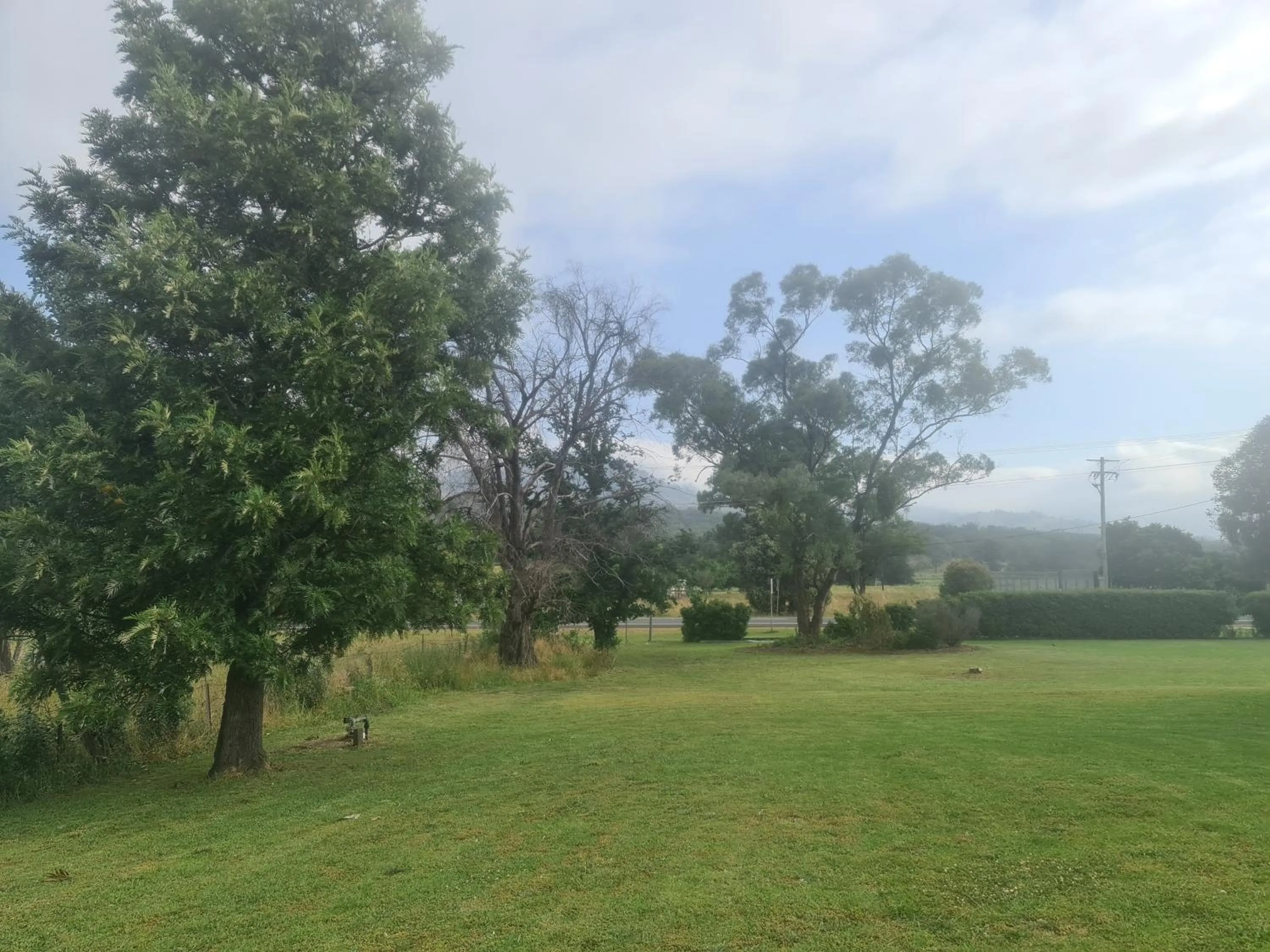 Garden in Valley View Motel