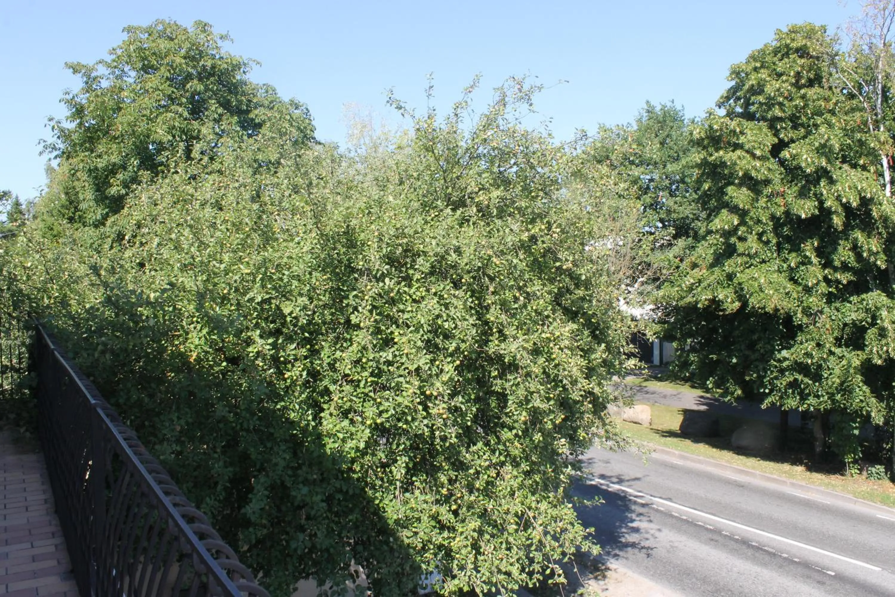 Neighbourhood in Ecoland Hotel