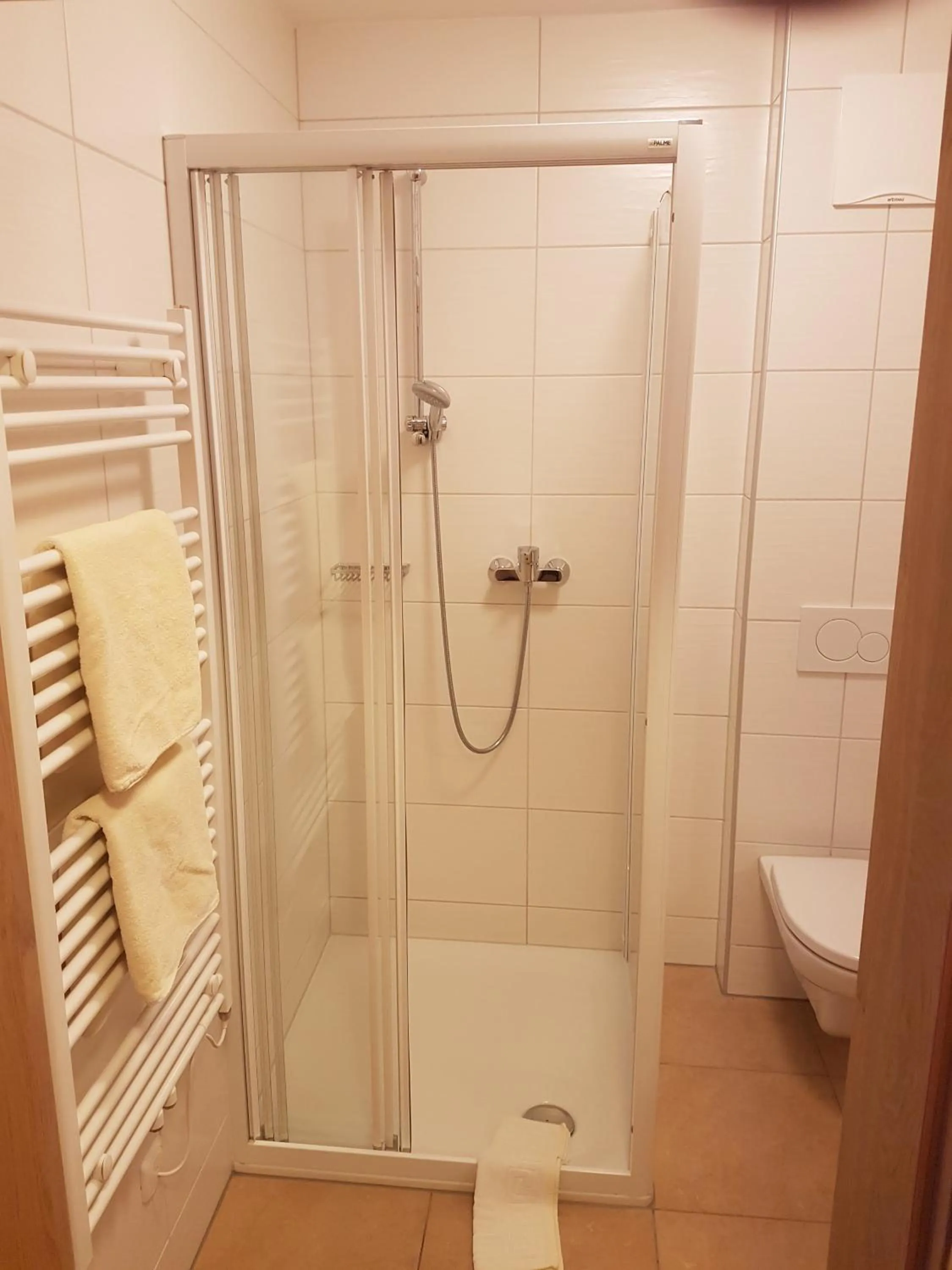 Shower in Aparthotel Hohe Brücke