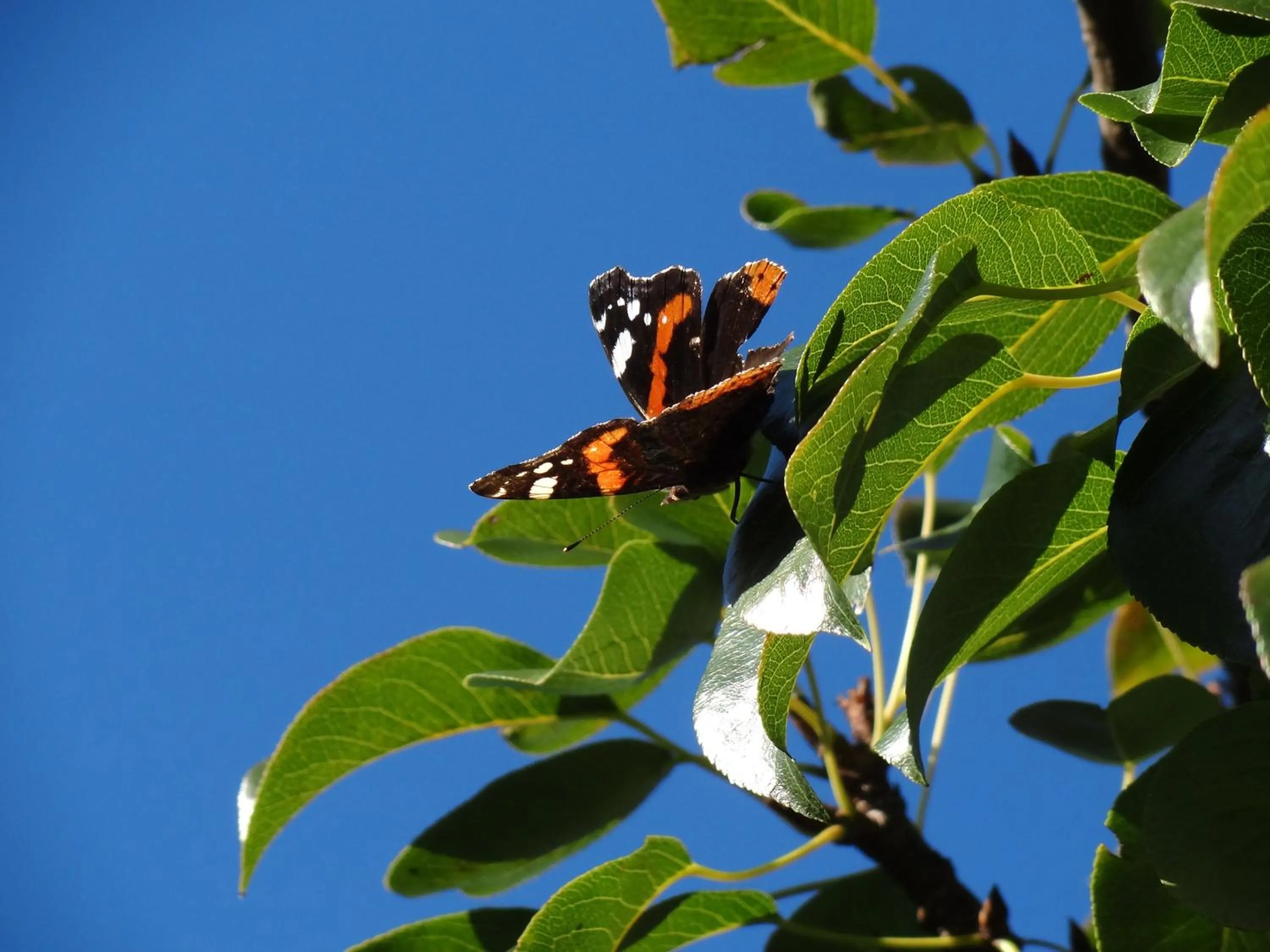 Area and facilities in Aparthotel Hohe Brücke