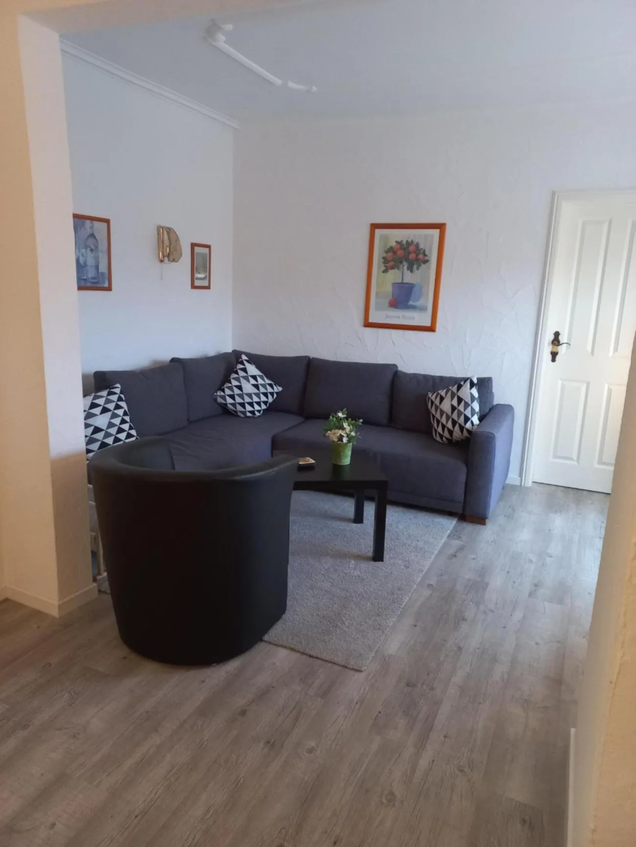 Haus Elsholz Usseln FeWo Birke