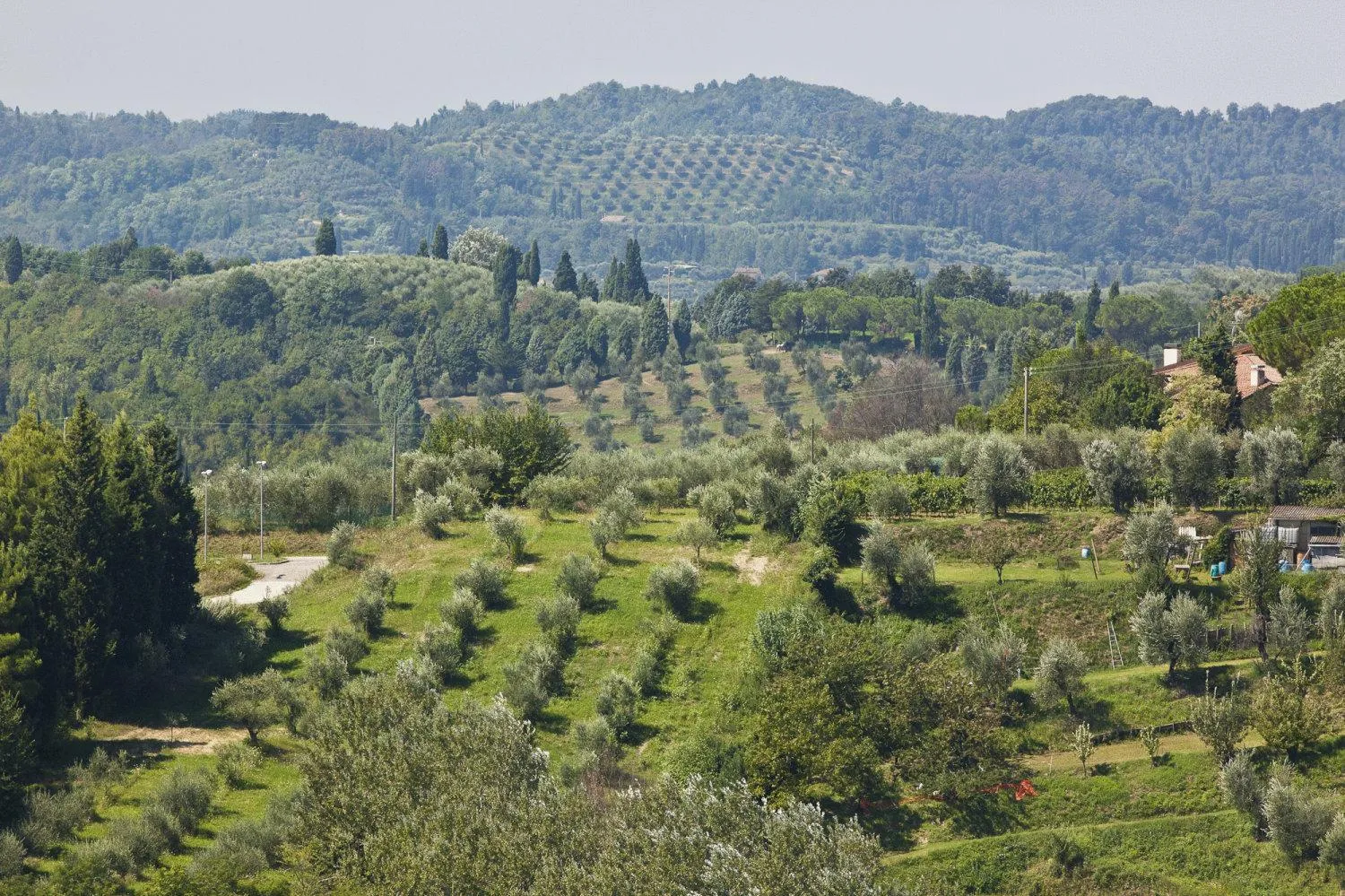 Day in Hotel San Miniato