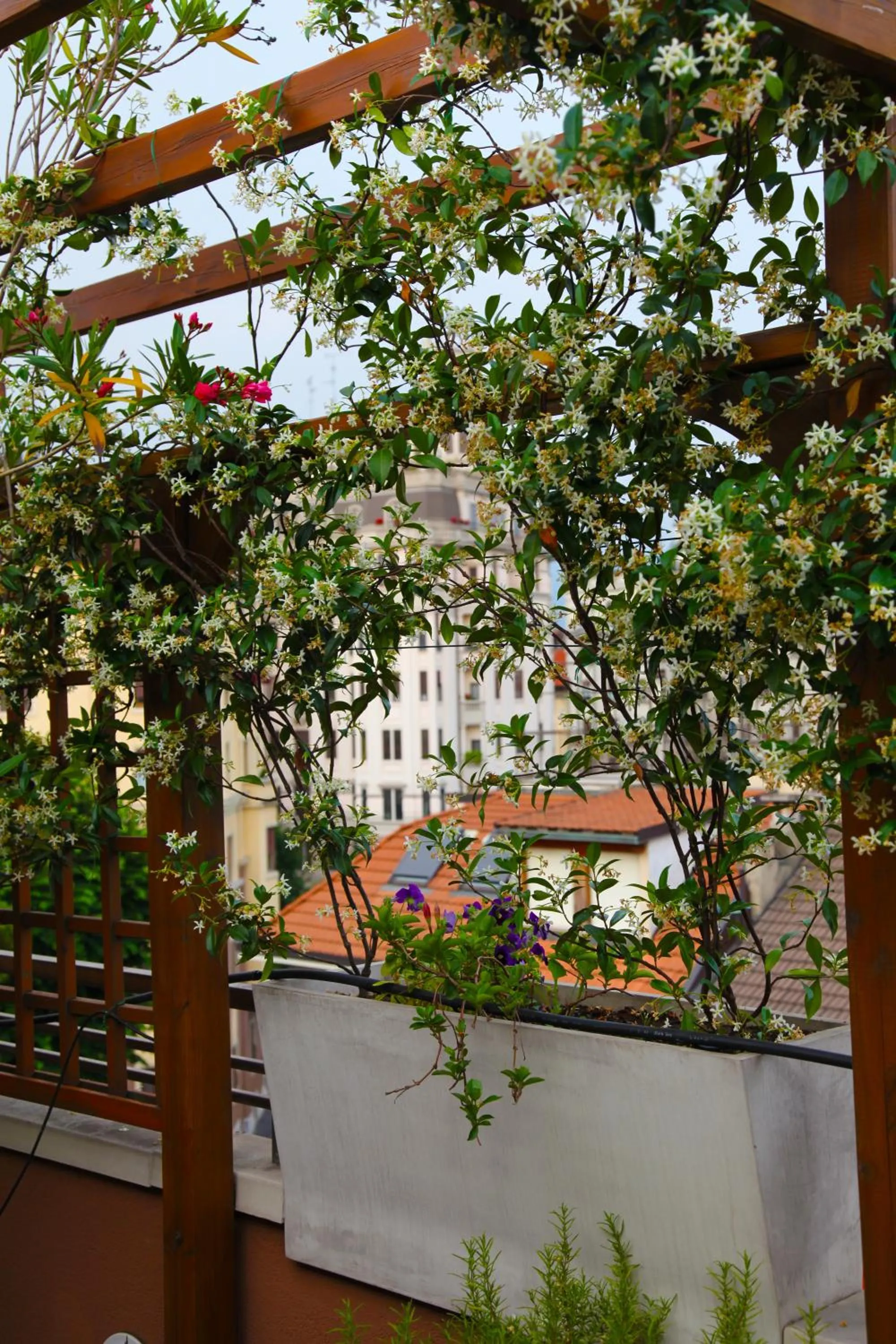 Decorative detail in Hotel Metrò