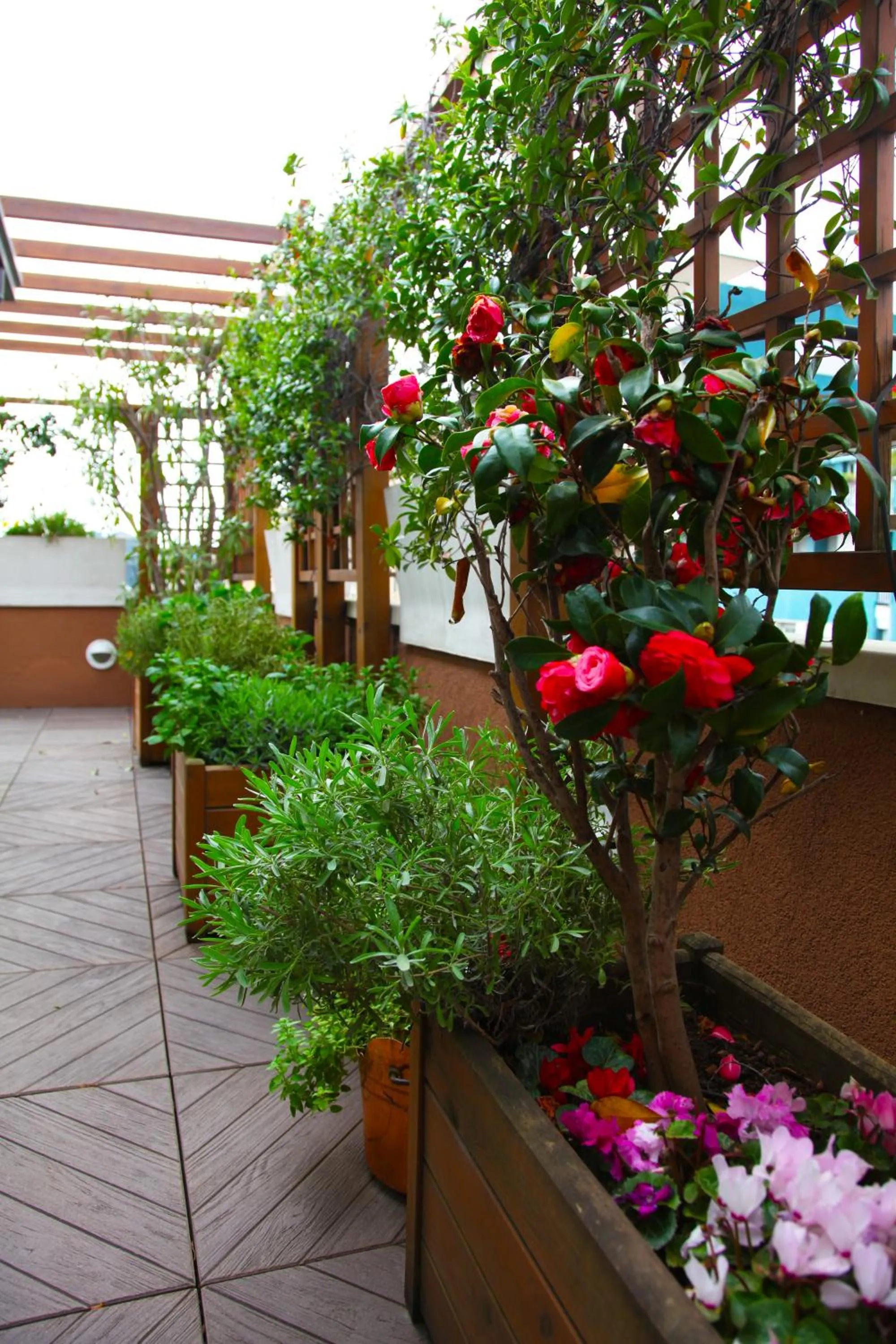 Other in Hotel Metrò