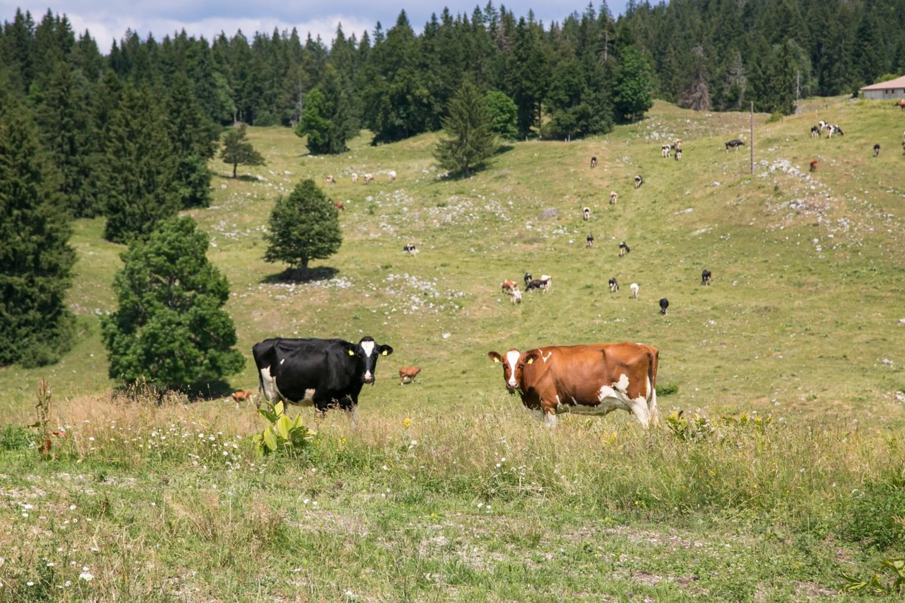 Résidence Les Clarines ( by Popinns )