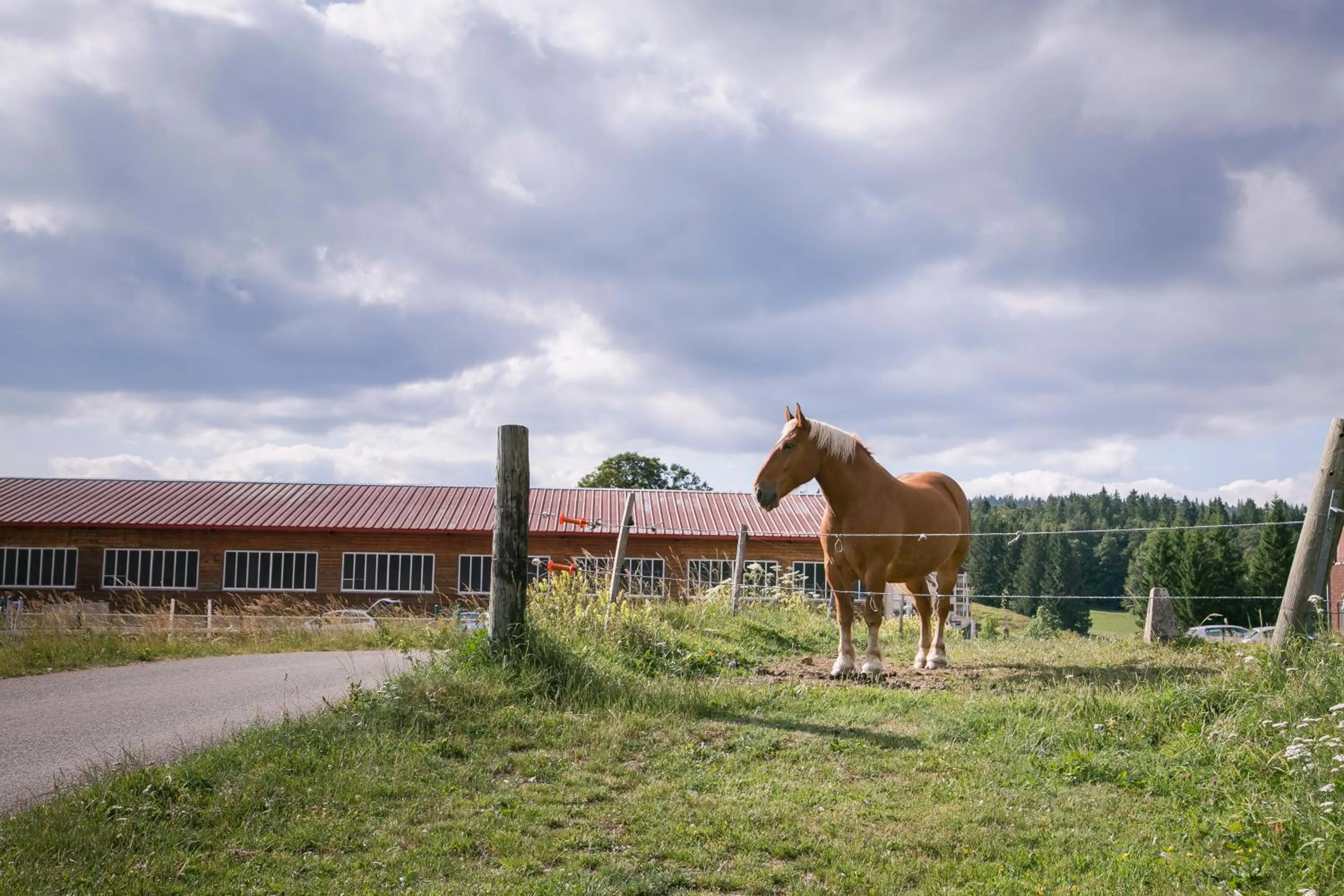 Résidence Les Clarines ( by Popinns )