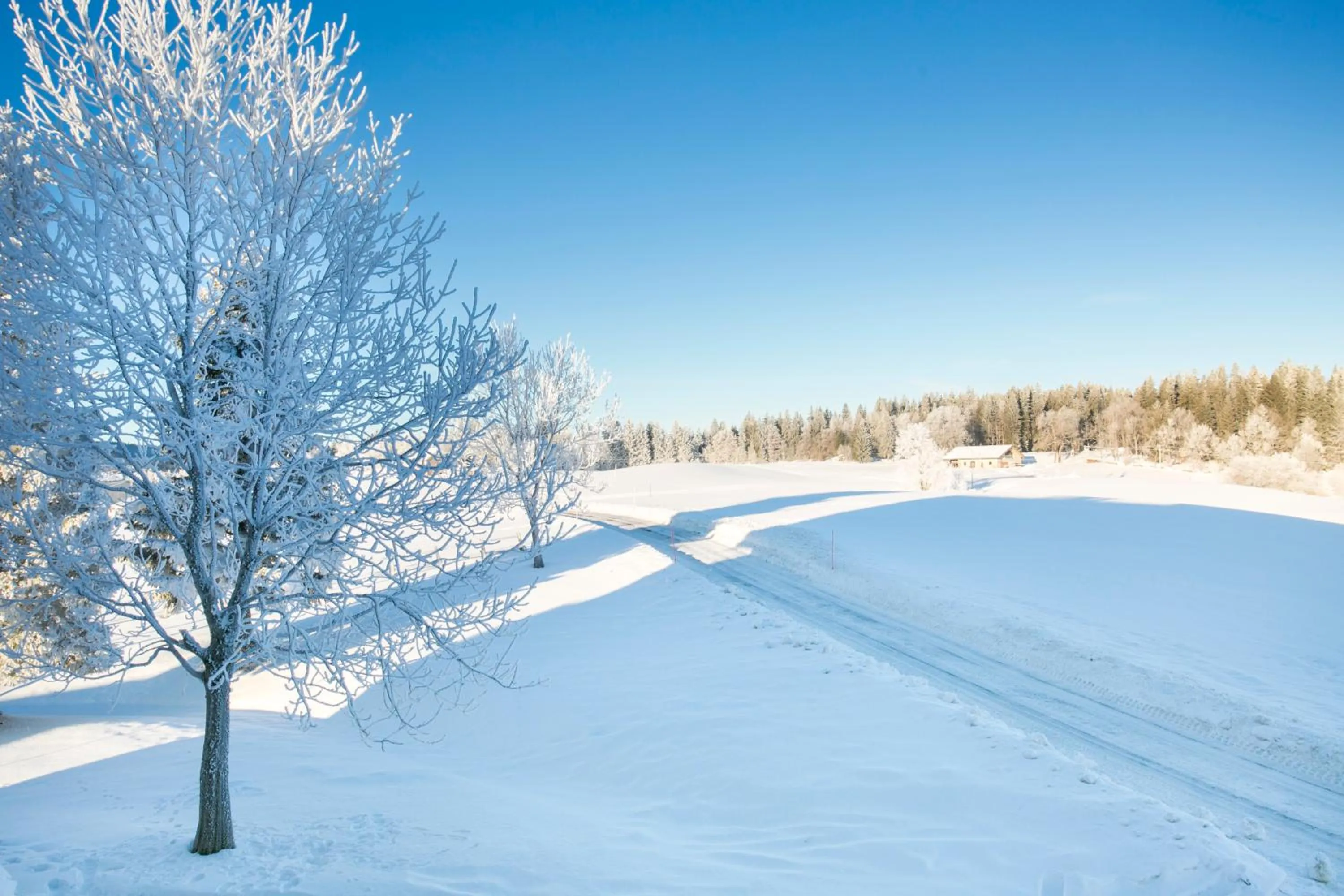 Winter in Résidence Les Clarines ( by Popinns )