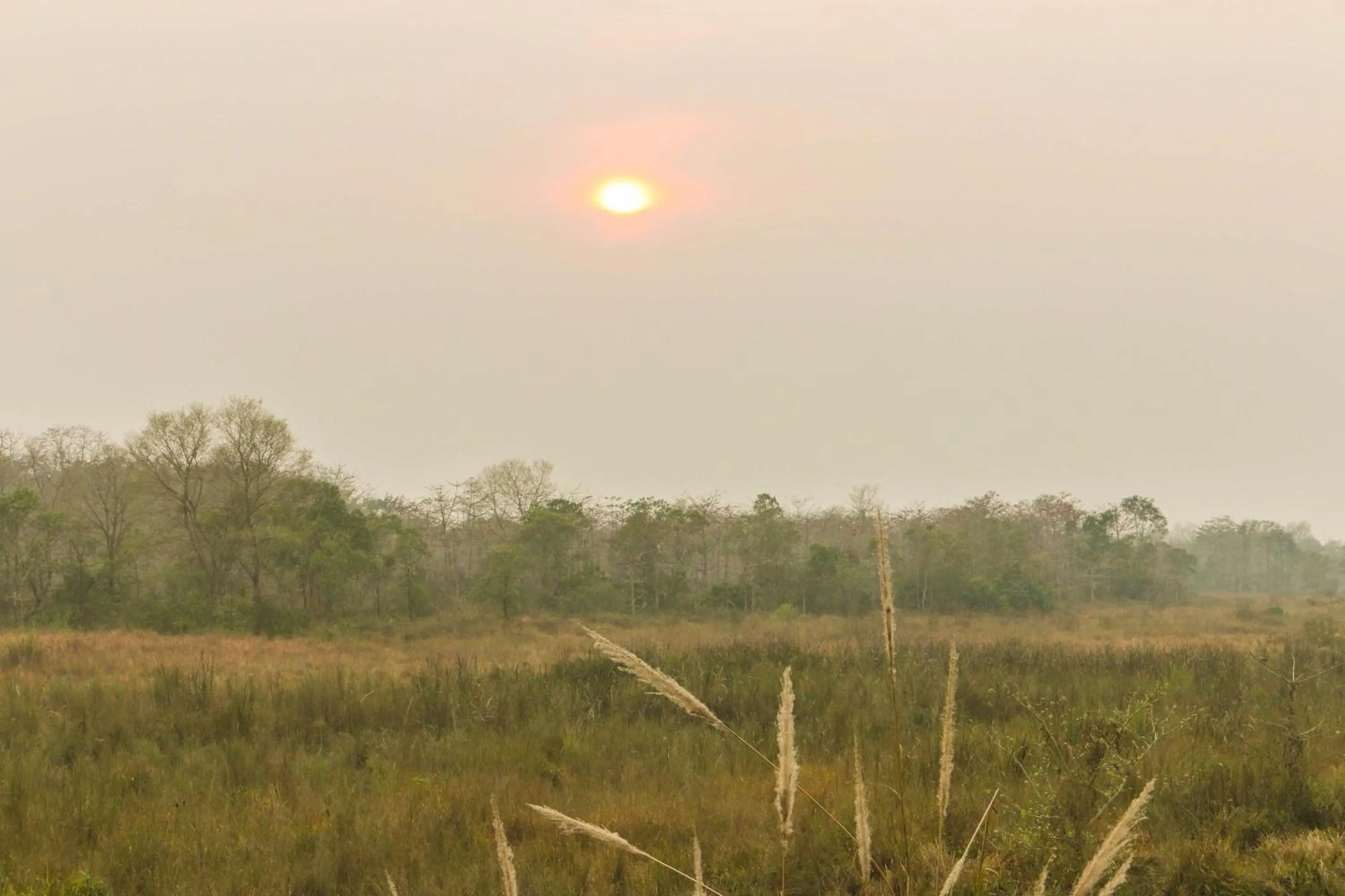 Garden view in Jagatpur Lodge by Annapurna