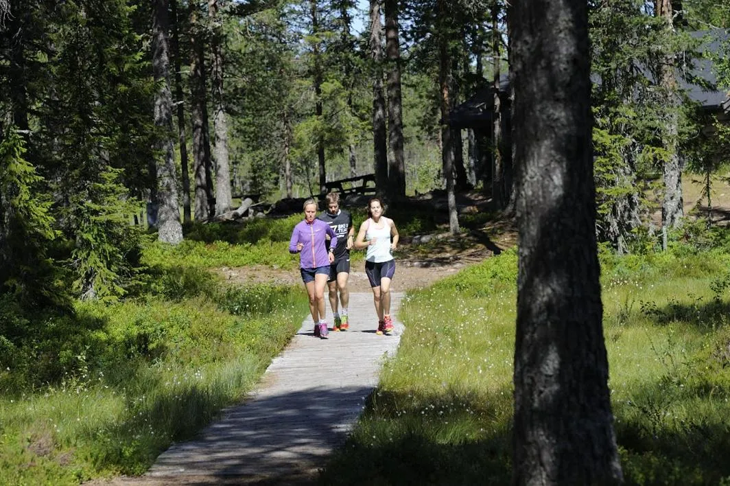 Day in Orsa Grönklitt