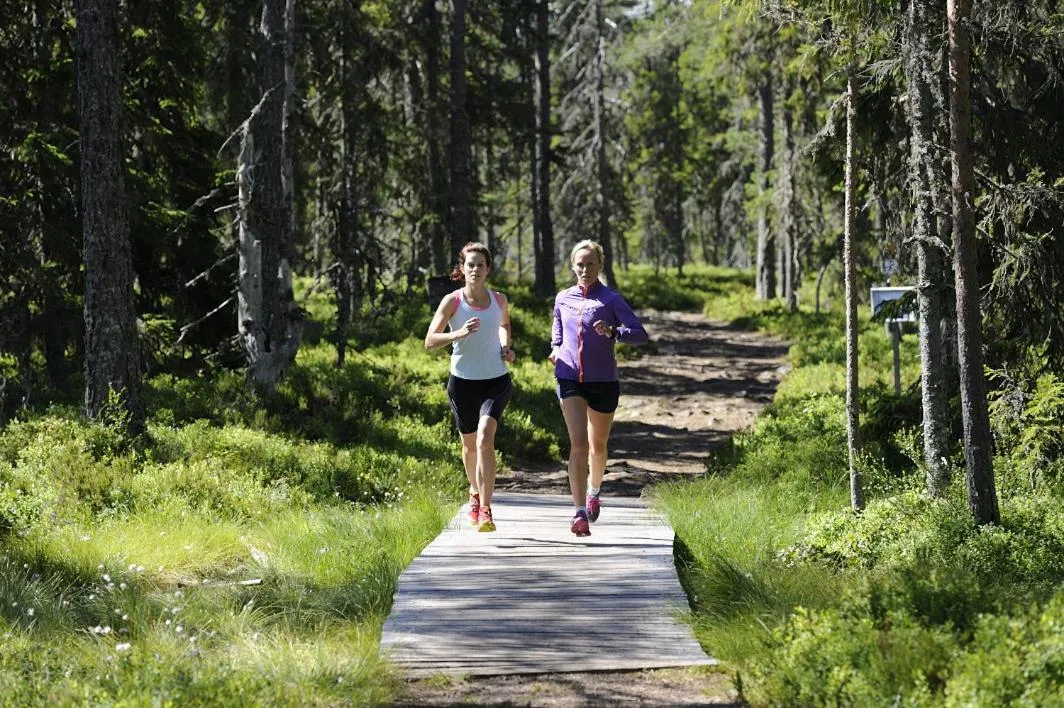 Day in Orsa Grönklitt