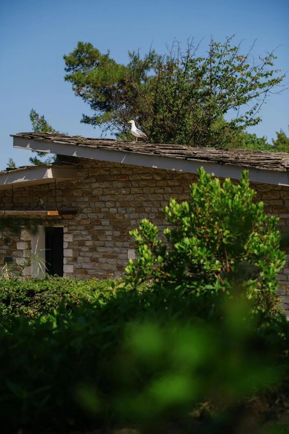 Photo of the whole room in Makryammos