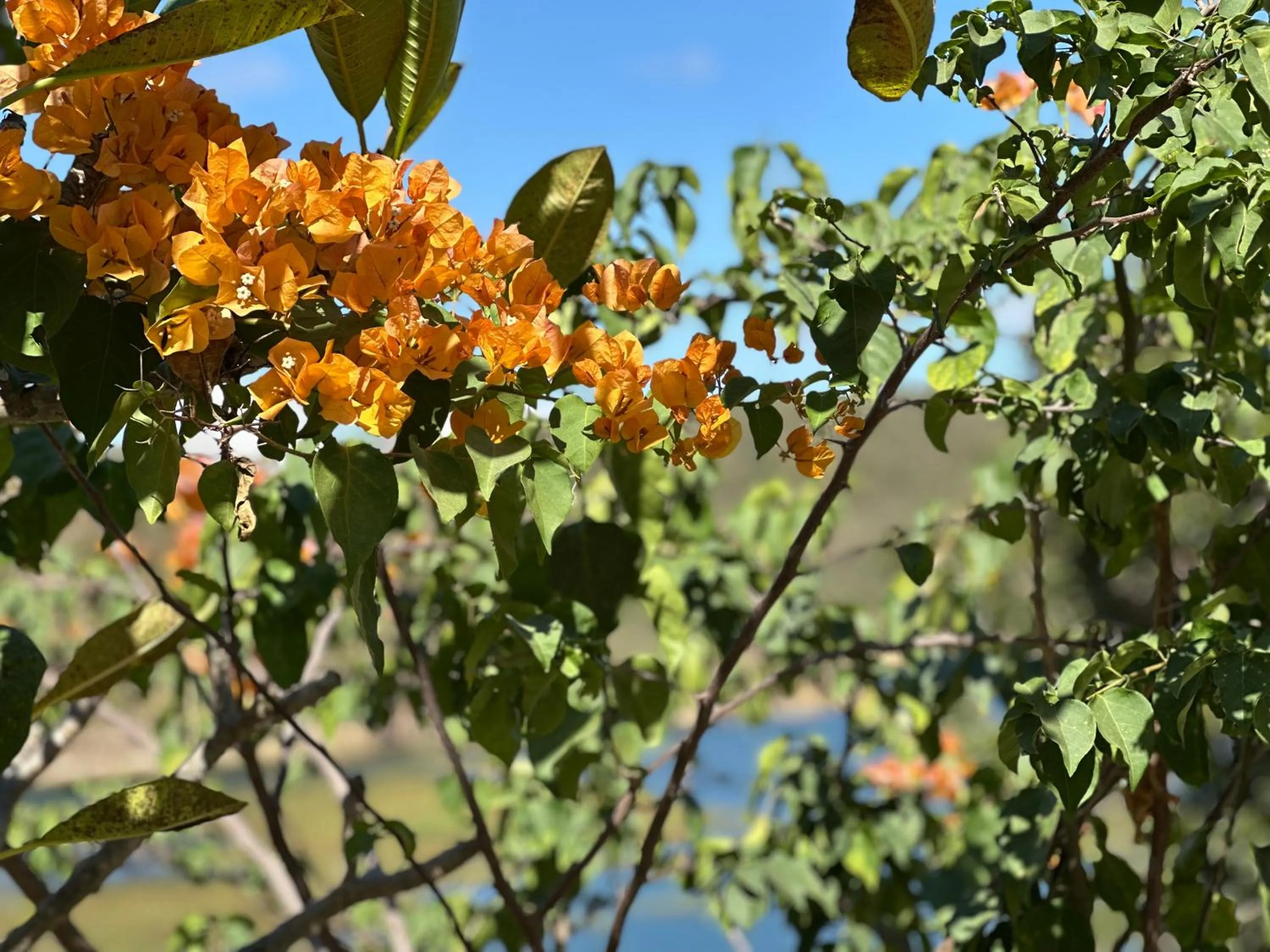 Pousada Fecho da Serra