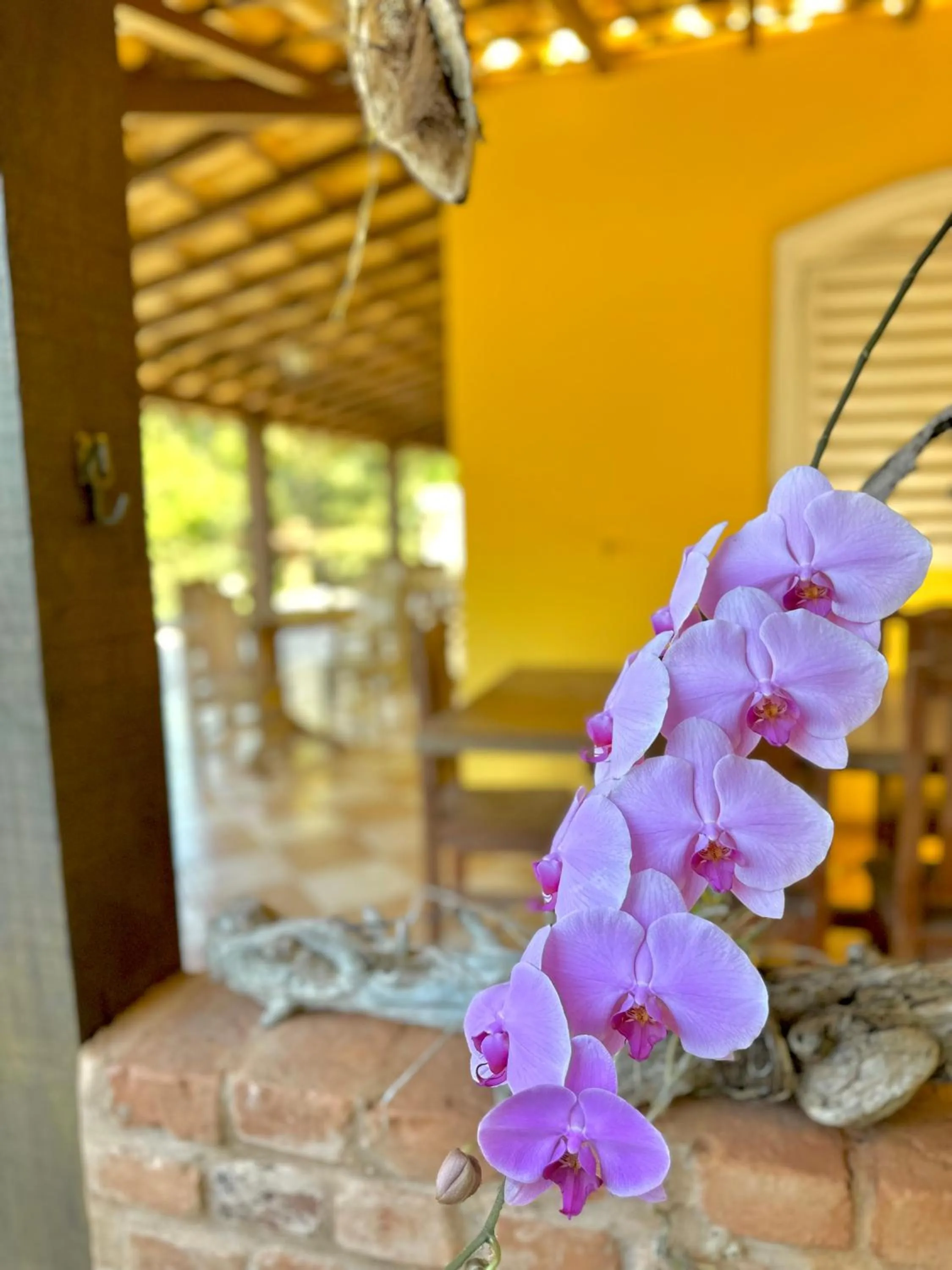 Pousada Fecho da Serra