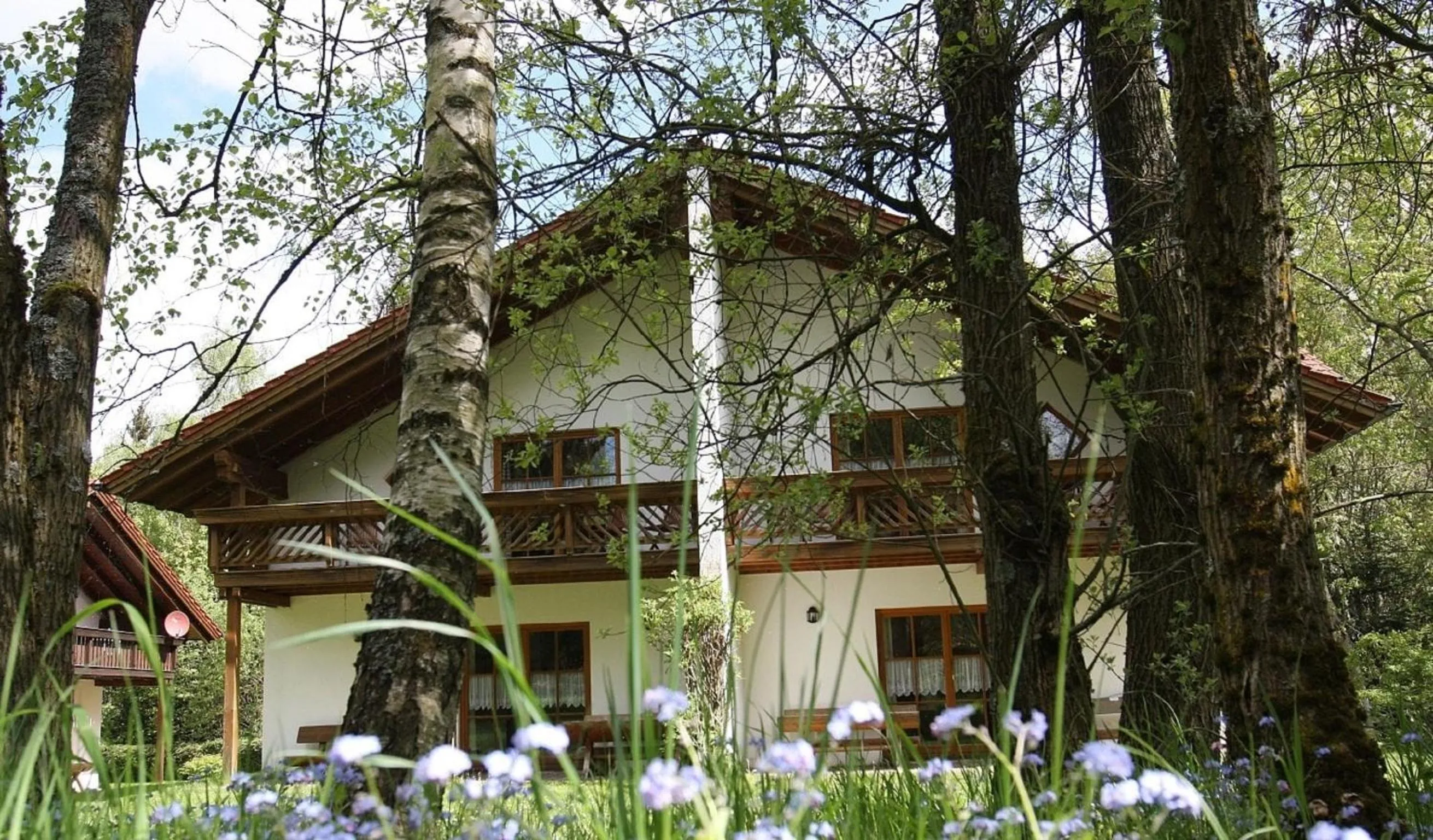 Facade/entrance in Ferienhäuser "In der Waldperle"