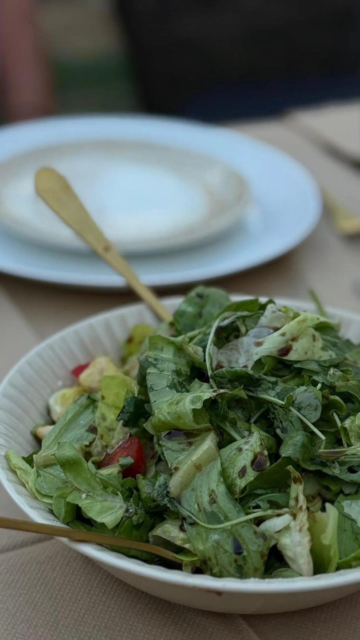 Epavlis Meteora Suites Hotel