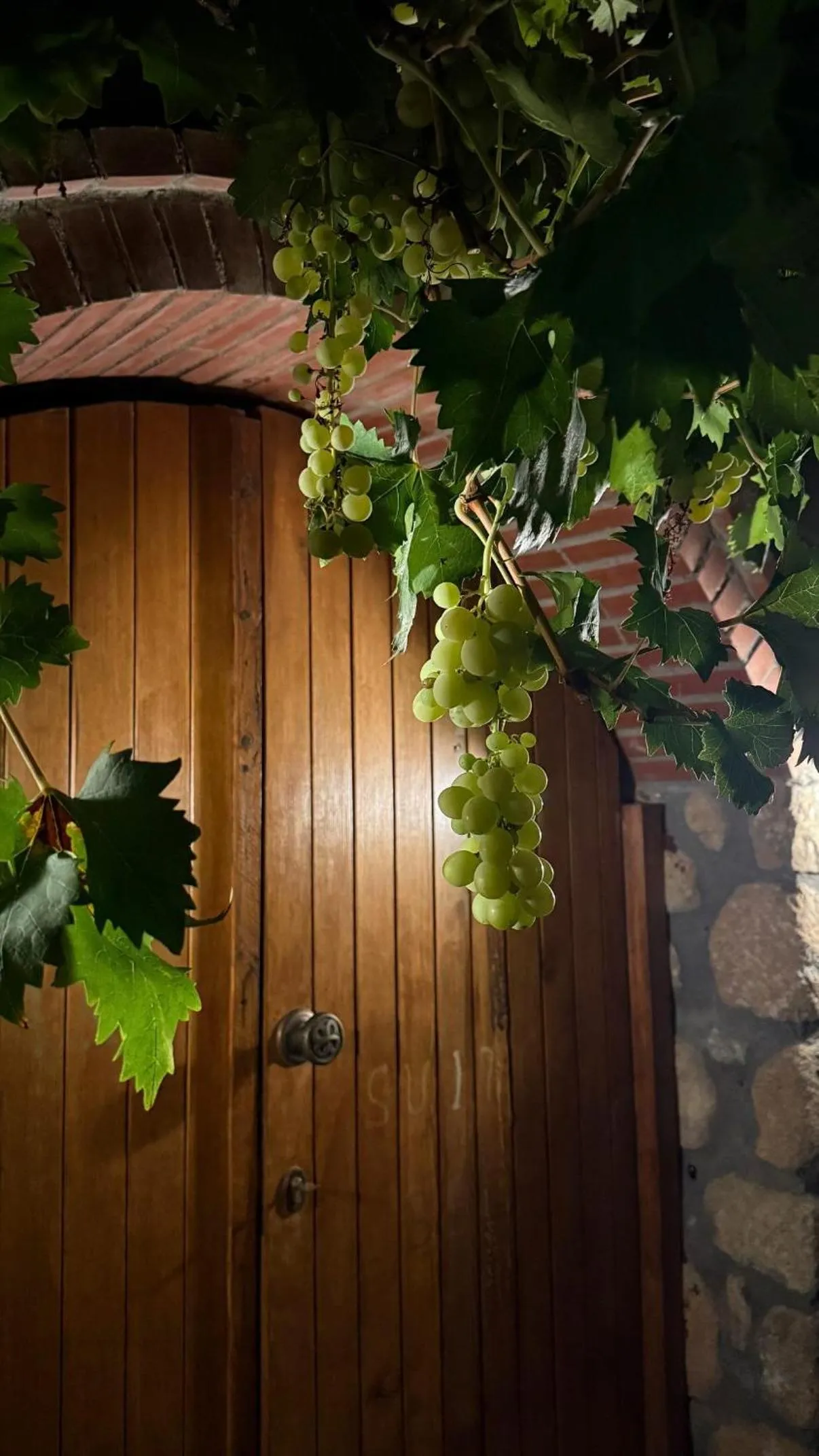 Epavlis Meteora Suites Hotel