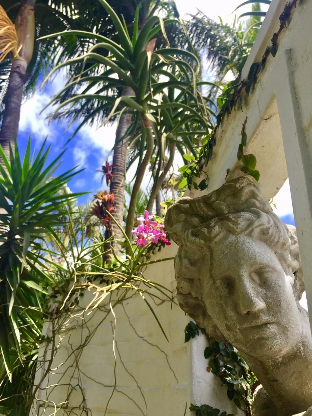 Garden view in St. Lucia Wetlands Guest House