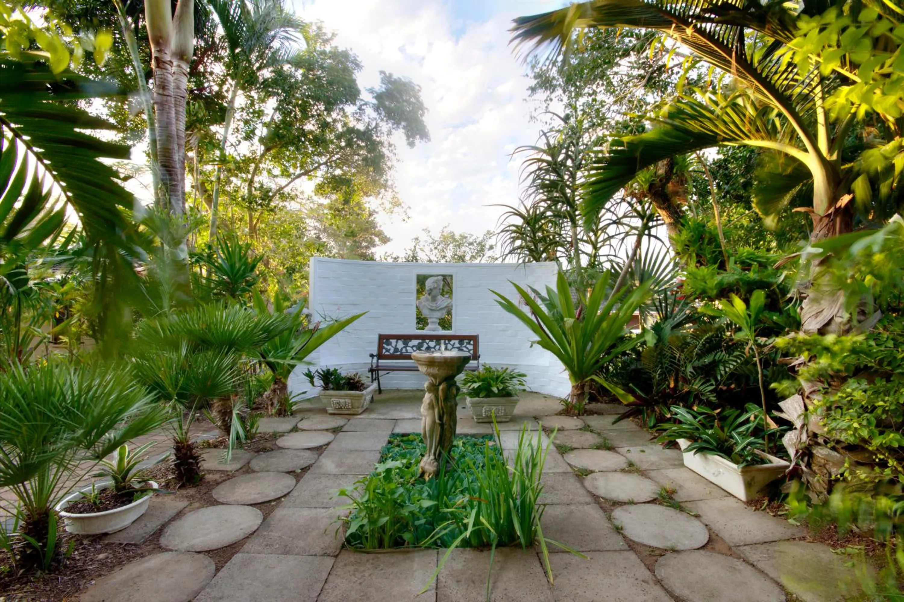Garden in St. Lucia Wetlands Guest House