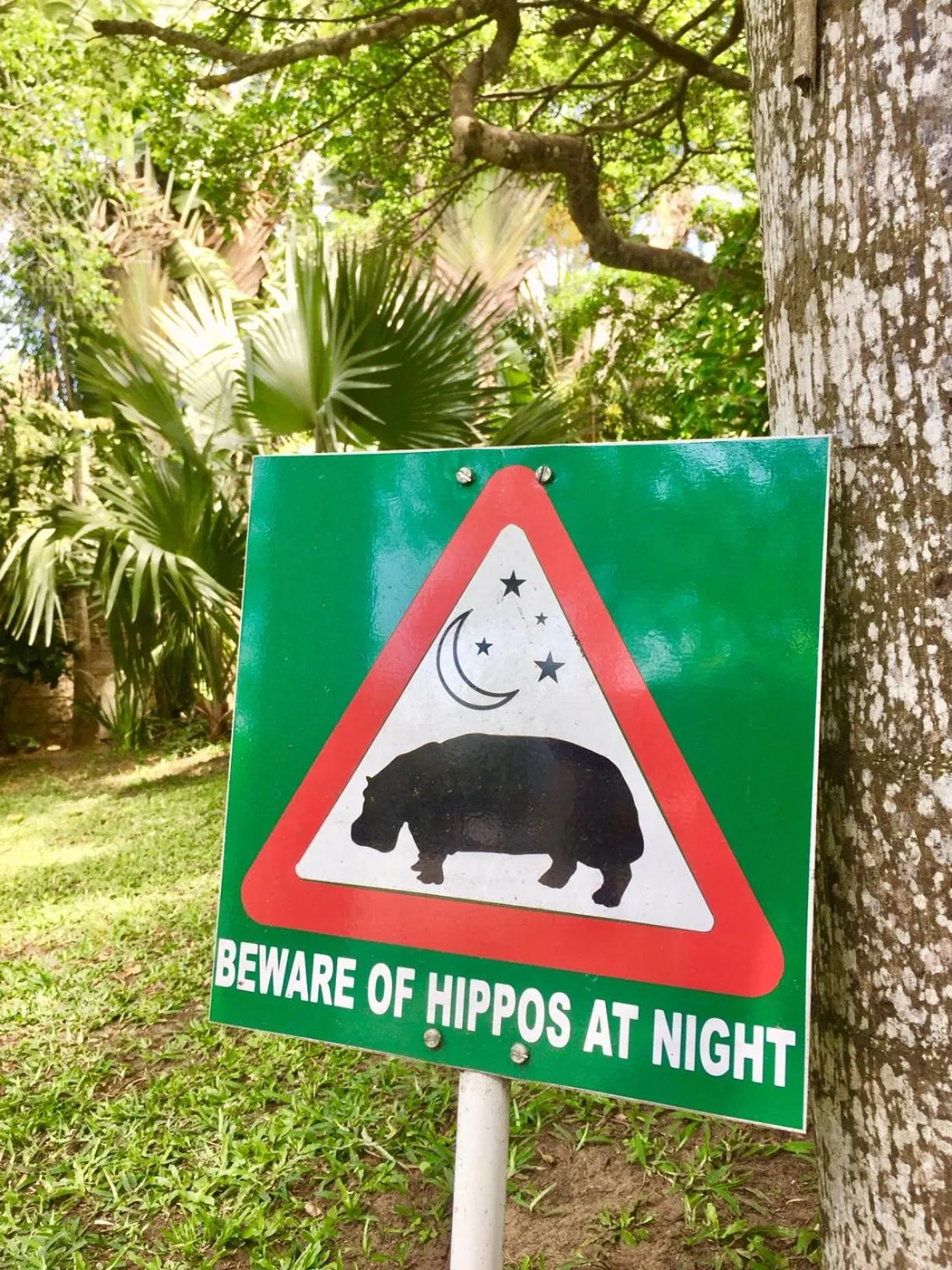 Property logo or sign in St. Lucia Wetlands Guest House