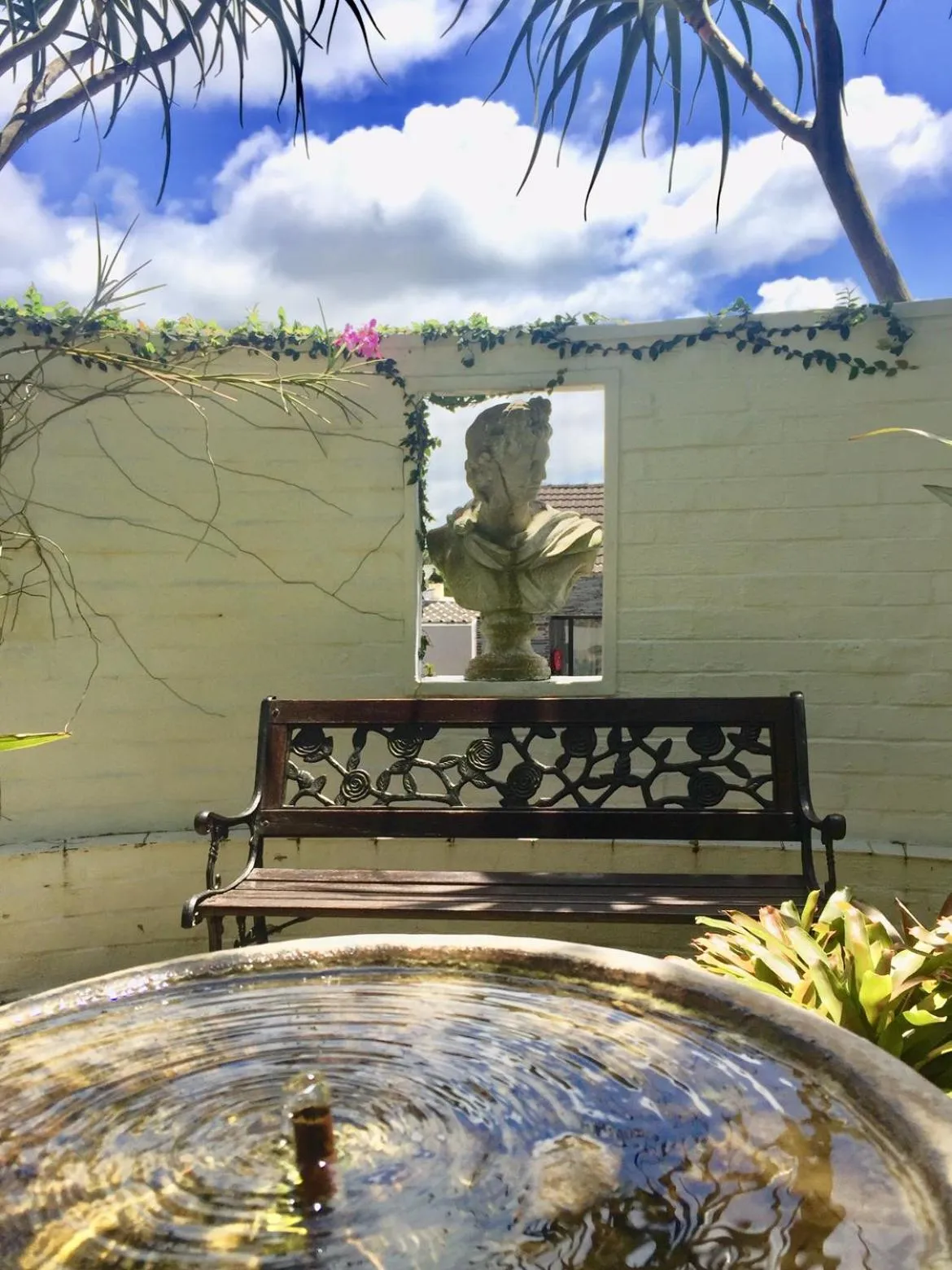 Garden in St. Lucia Wetlands Guest House