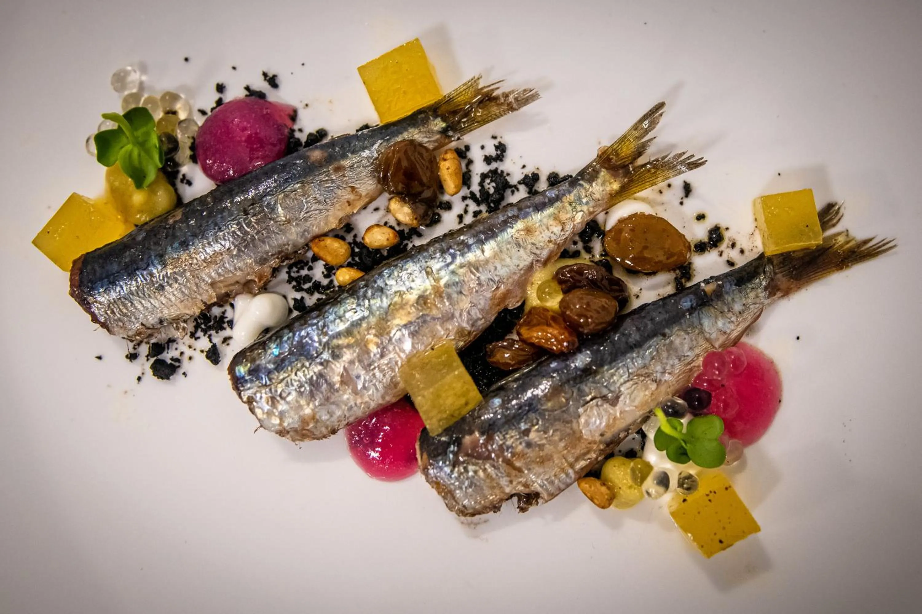 Restaurant/places to eat in Premantura Resort - Hotel & Restaurant