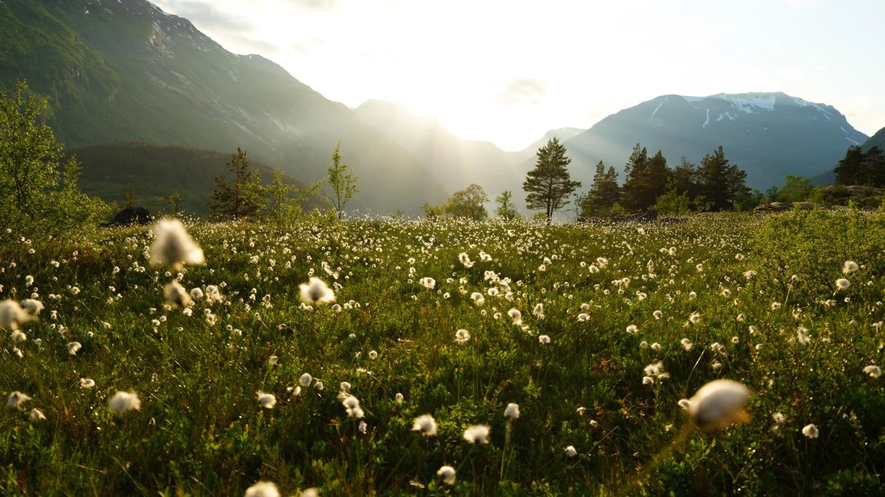 Off site in Hotel Utsikten - by Classic Norway Hotels