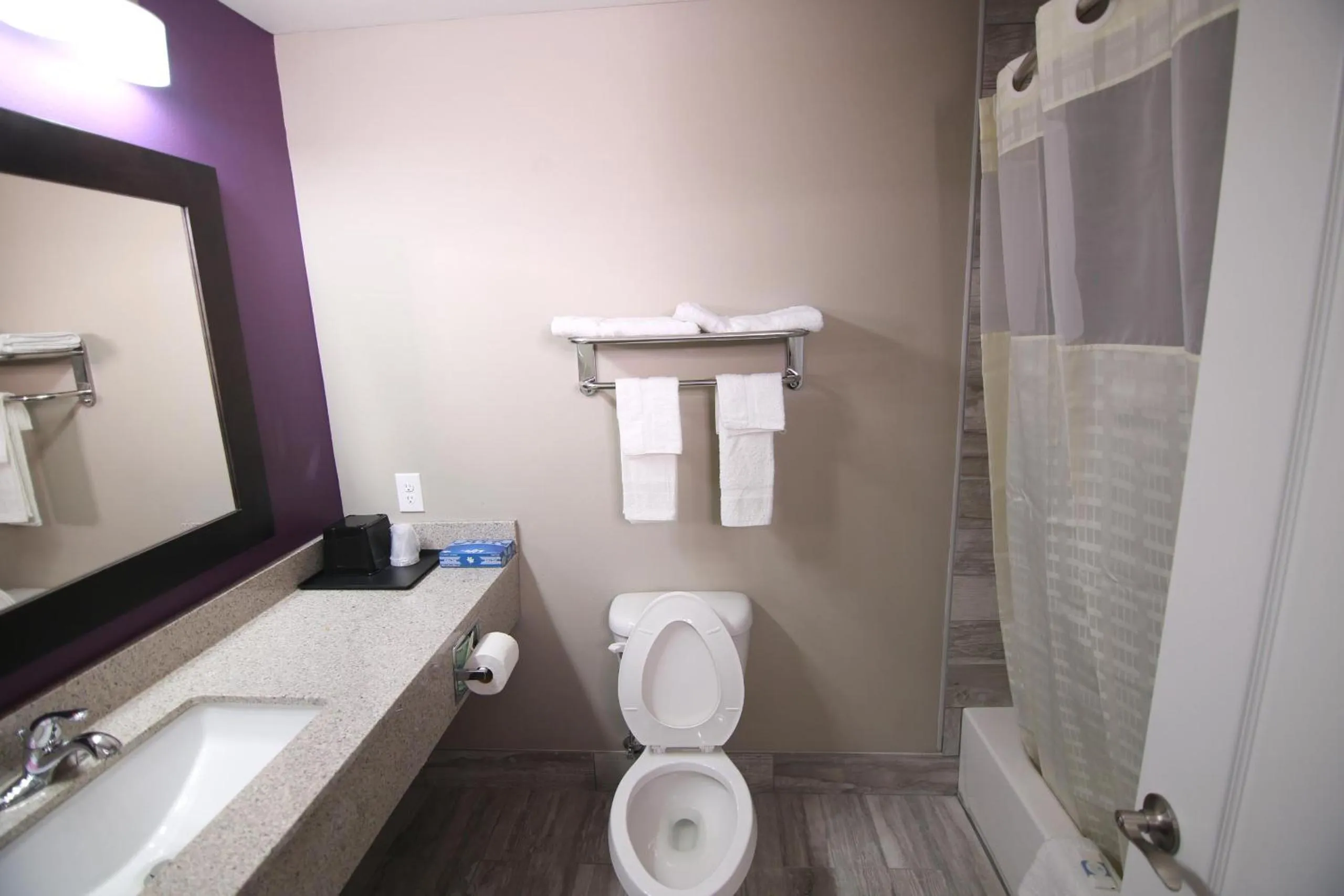 Bathroom in Home Inn and Suites Memphis