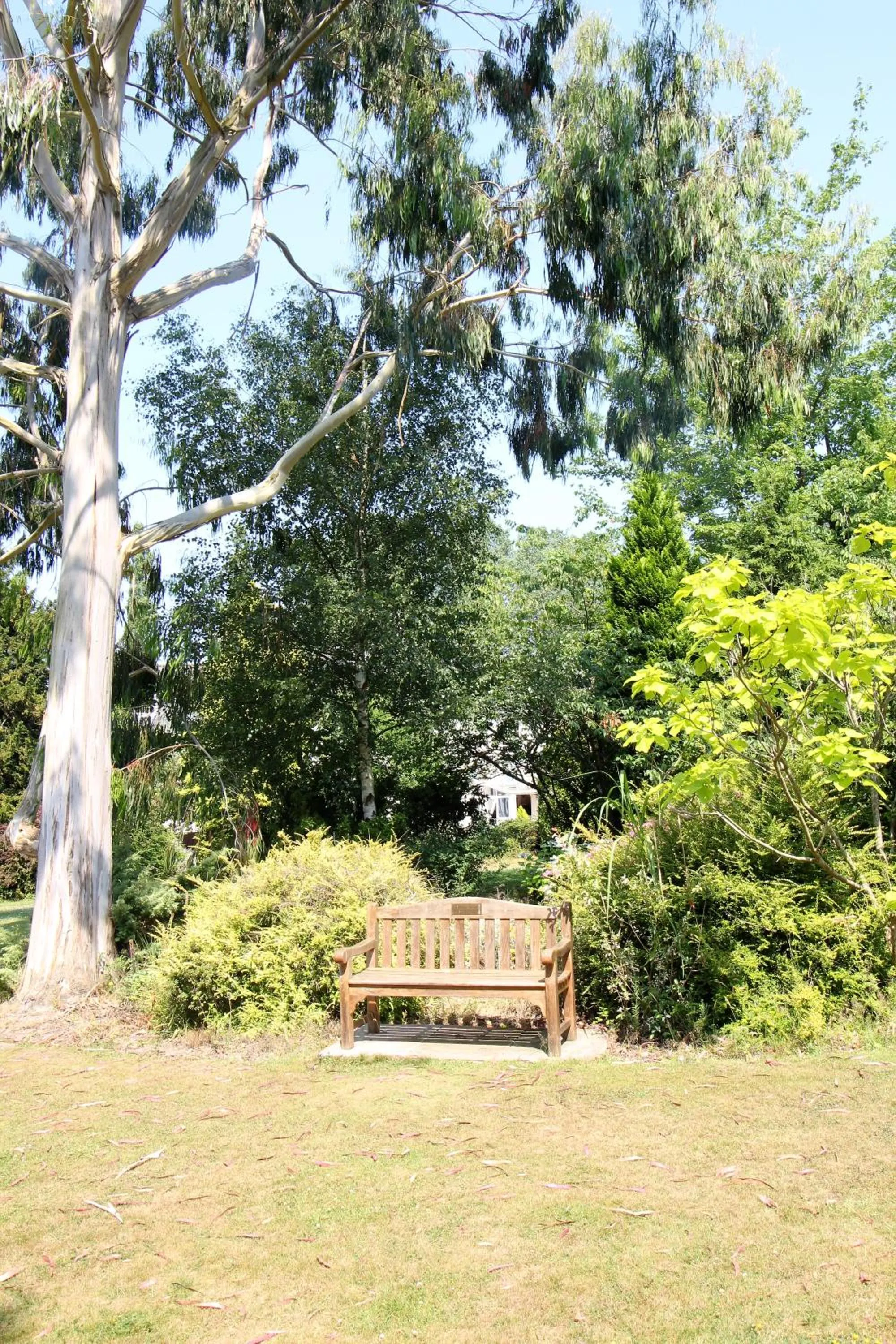 Garden in Woodlands Lodge Hotel